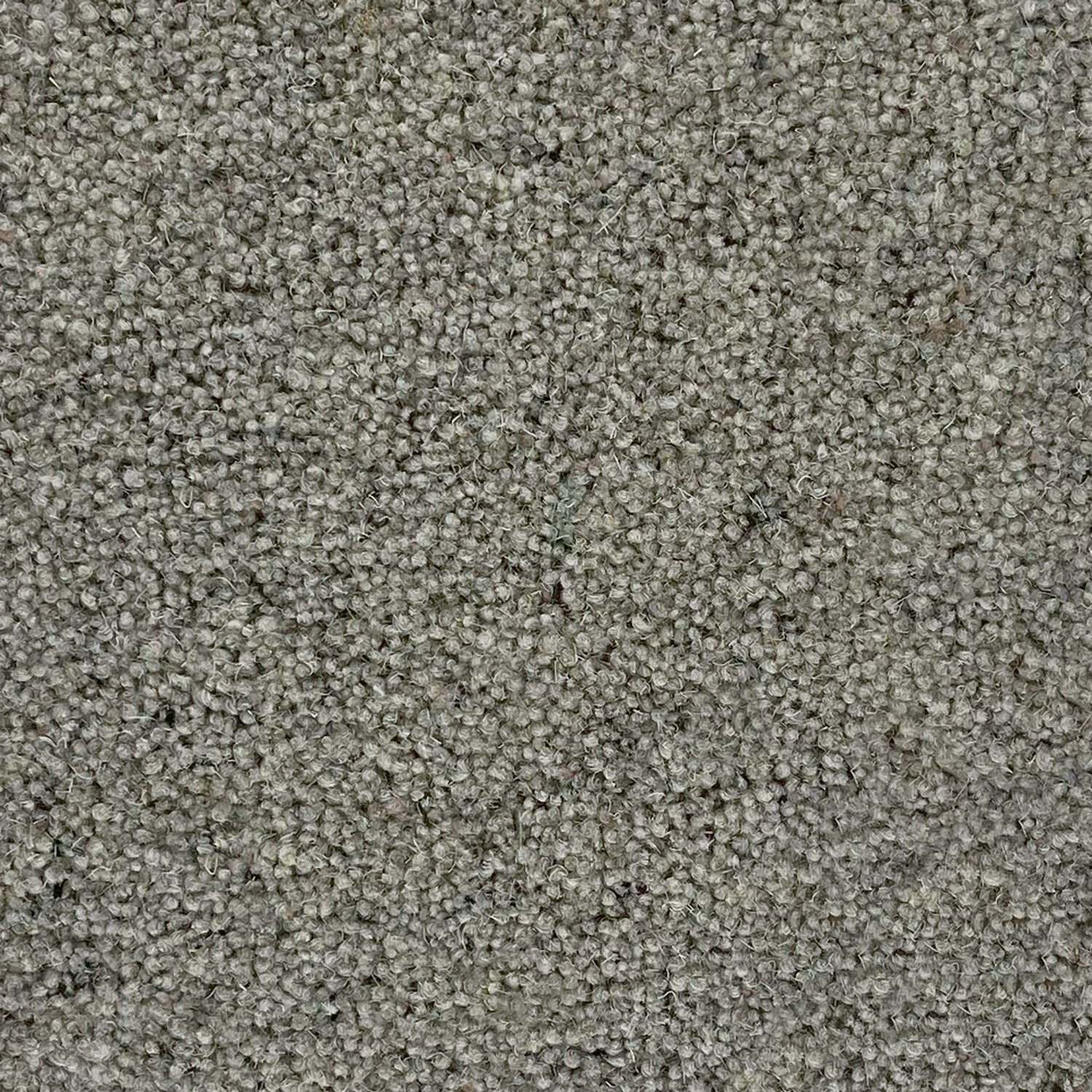 Penthouse Carpets 50oz Crofter 80% Wool Blend Twist Carpet