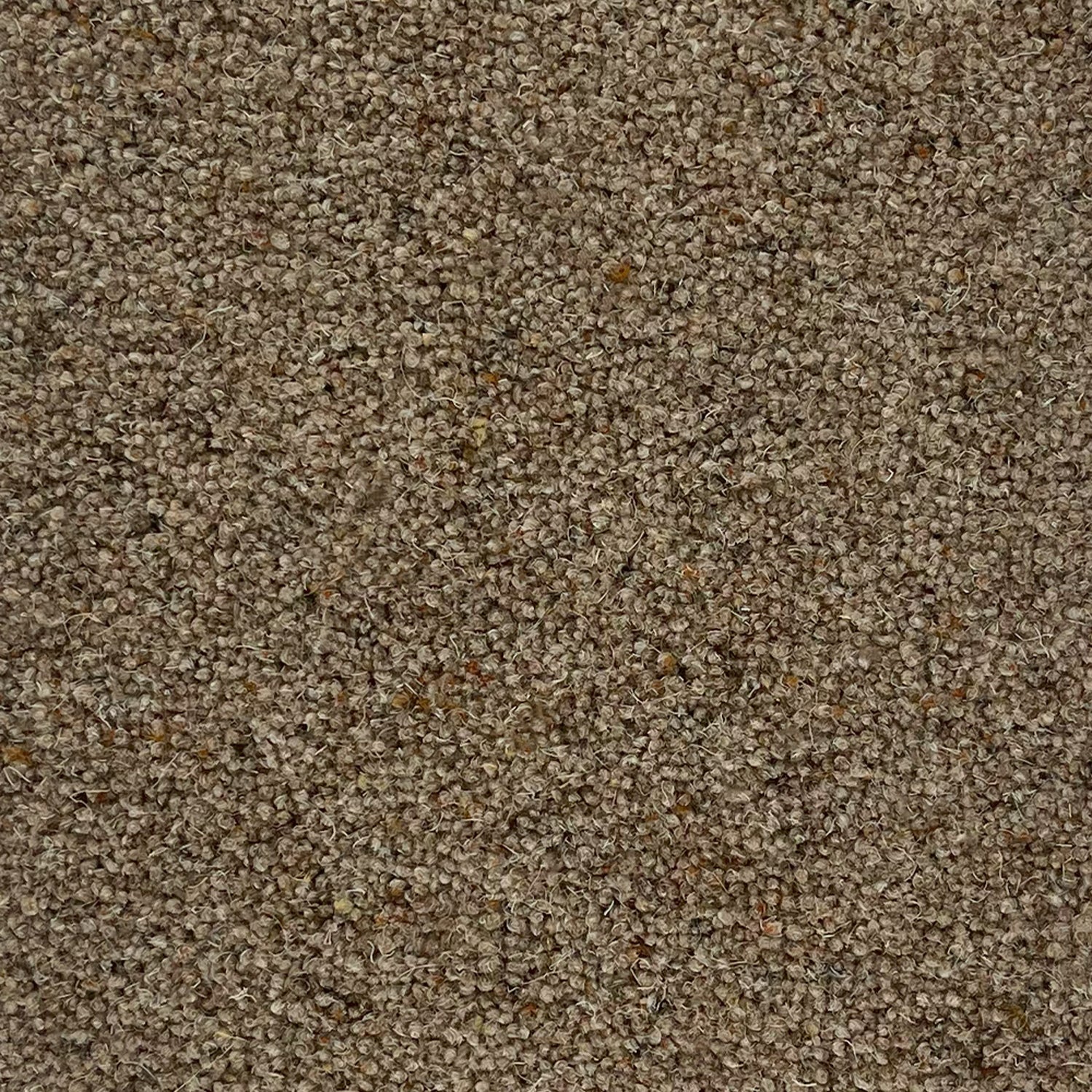 Penthouse Carpets 50oz Crofter 80% Wool Blend Twist Carpet
