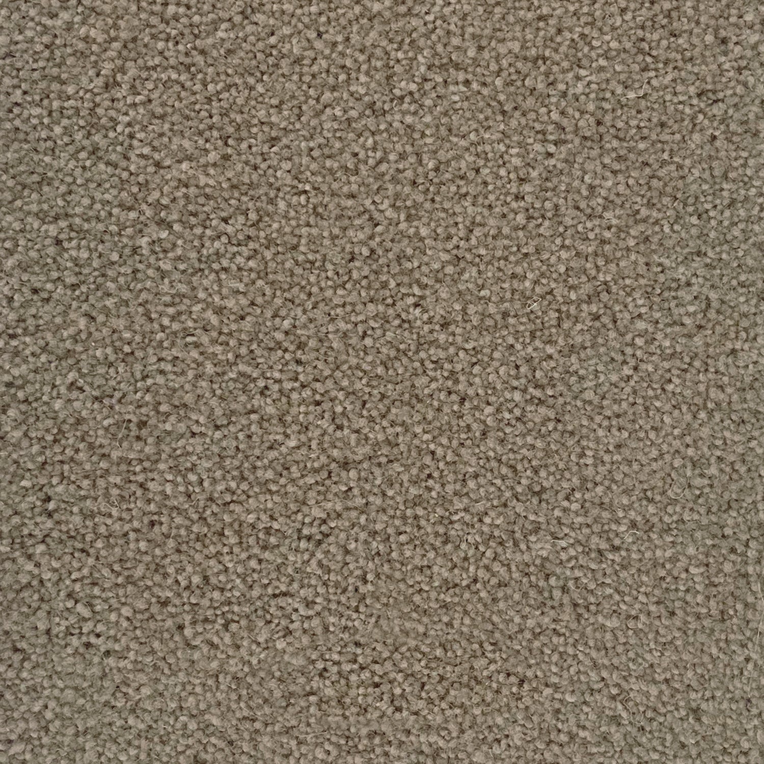 Penthouse Carpets 50oz Cumbrian 80% Wool Blend Twist Pile Carpet
