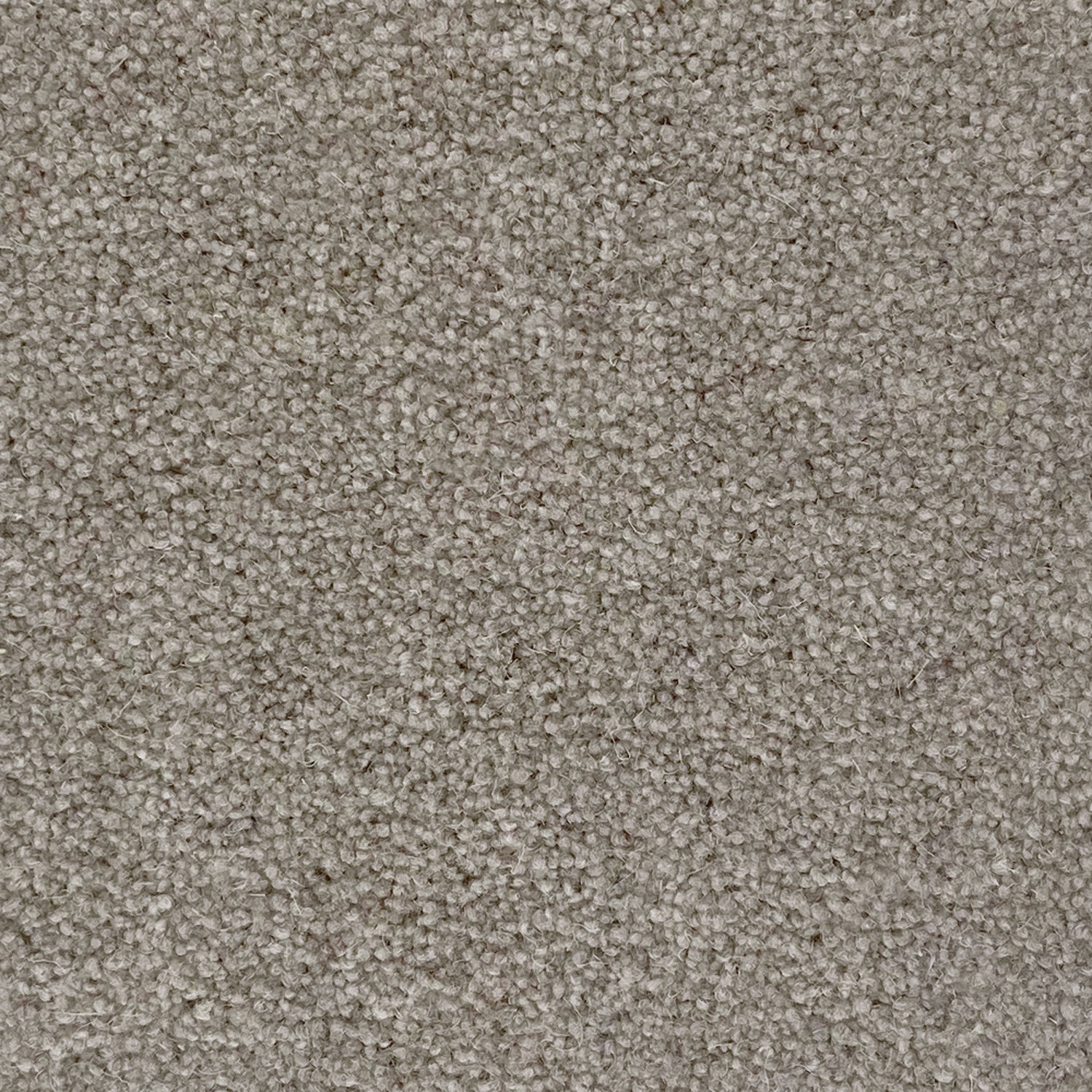 Penthouse Carpets 50oz Cumbrian 80% Wool Blend Twist Pile Carpet