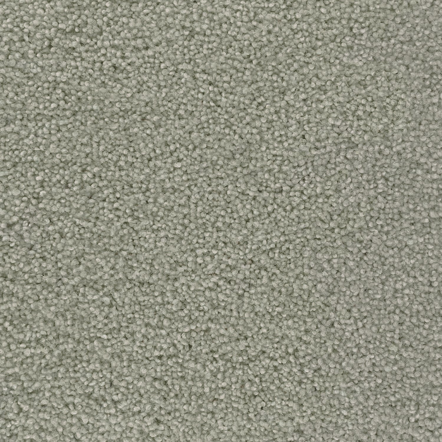 Penthouse Carpets 50oz Cumbrian 80% Wool Blend Twist Pile Carpet