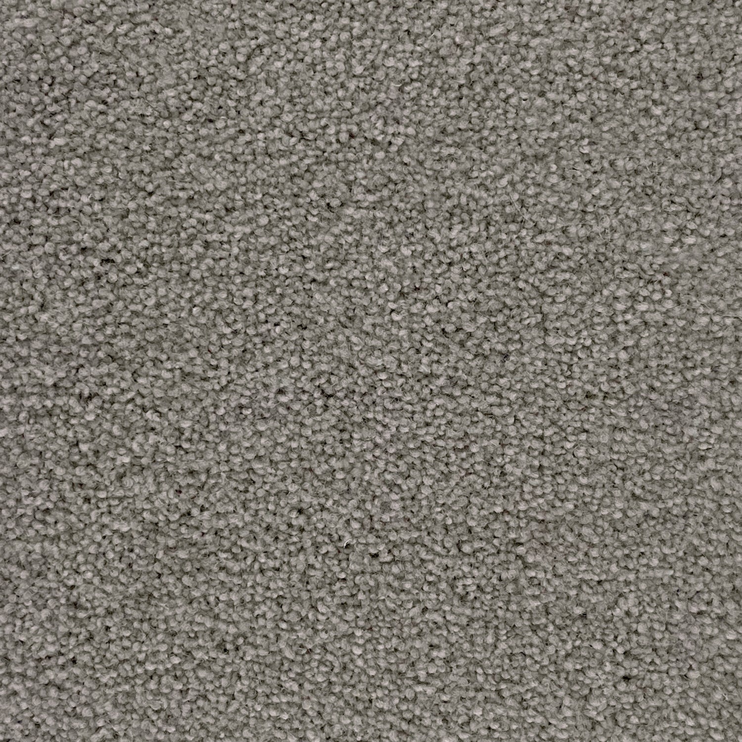 Penthouse Carpets 50oz Cumbrian 80% Wool Blend Twist Pile Carpet