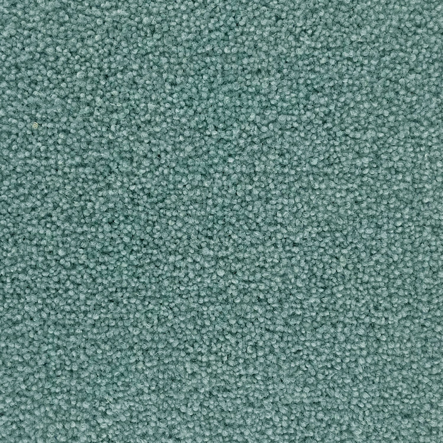 Penthouse Carpets 50oz Cumbrian 80% Wool Blend Twist Pile Carpet
