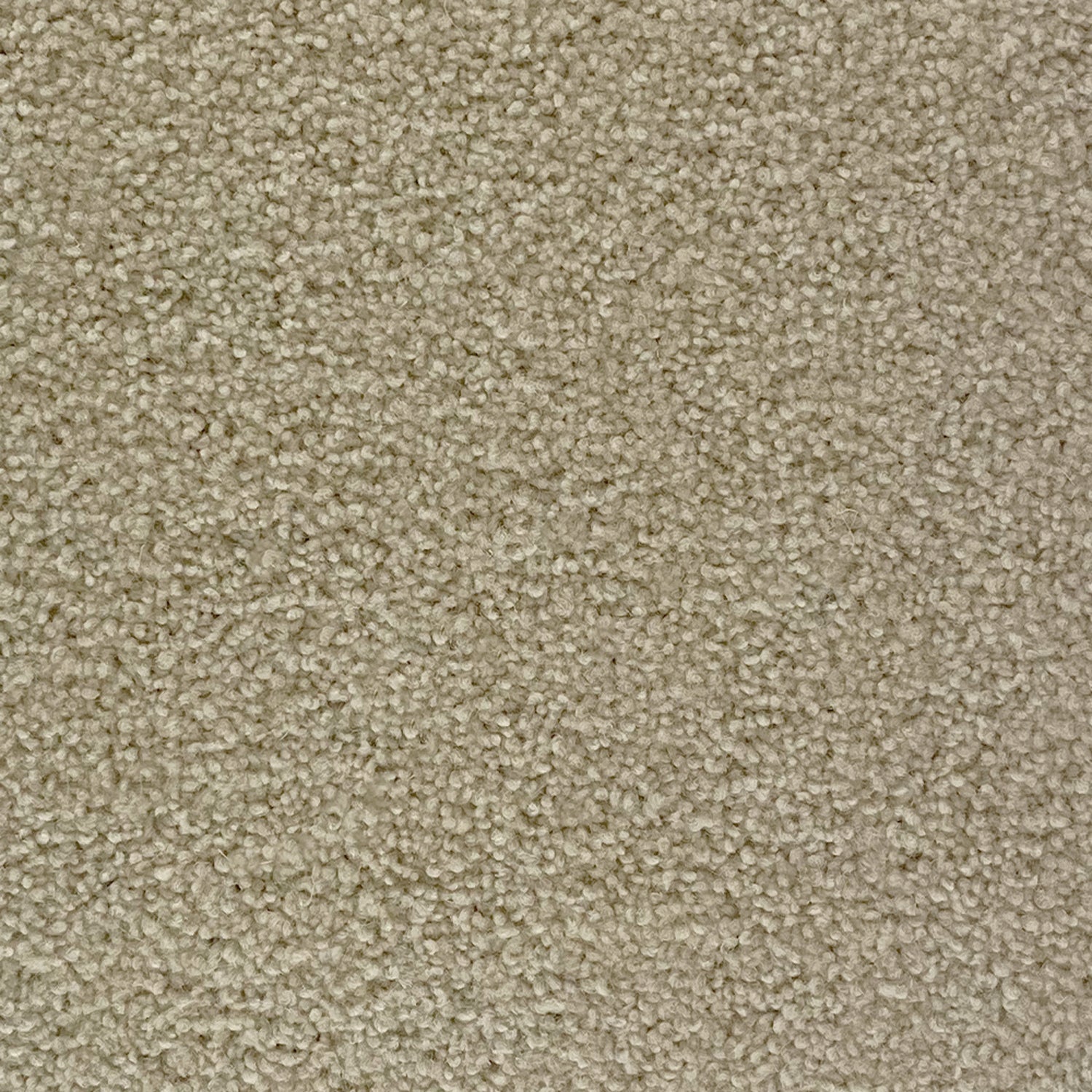 Penthouse Carpets 50oz Cumbrian 80% Wool Blend Twist Pile Carpet