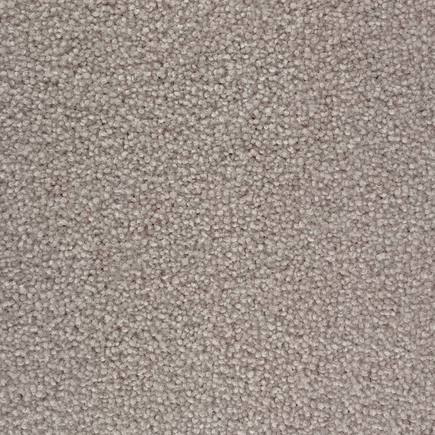 Penthouse Carpets 40oz Cumbrian 80% Wool Blend Twist Pile Carpet