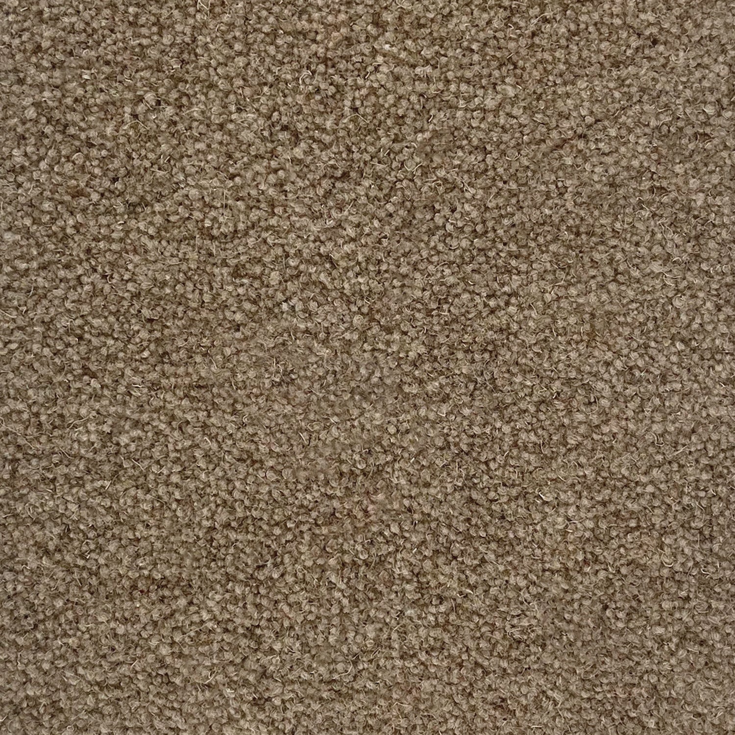 Penthouse Carpets 50oz Cumbrian 80% Wool Blend Twist Pile Carpet