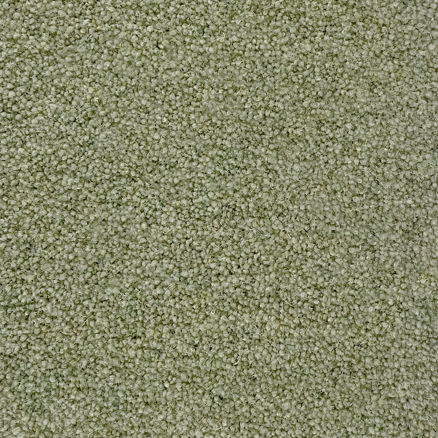 Penthouse Carpets 50oz Cumbrian 80% Wool Blend Twist Pile Carpet