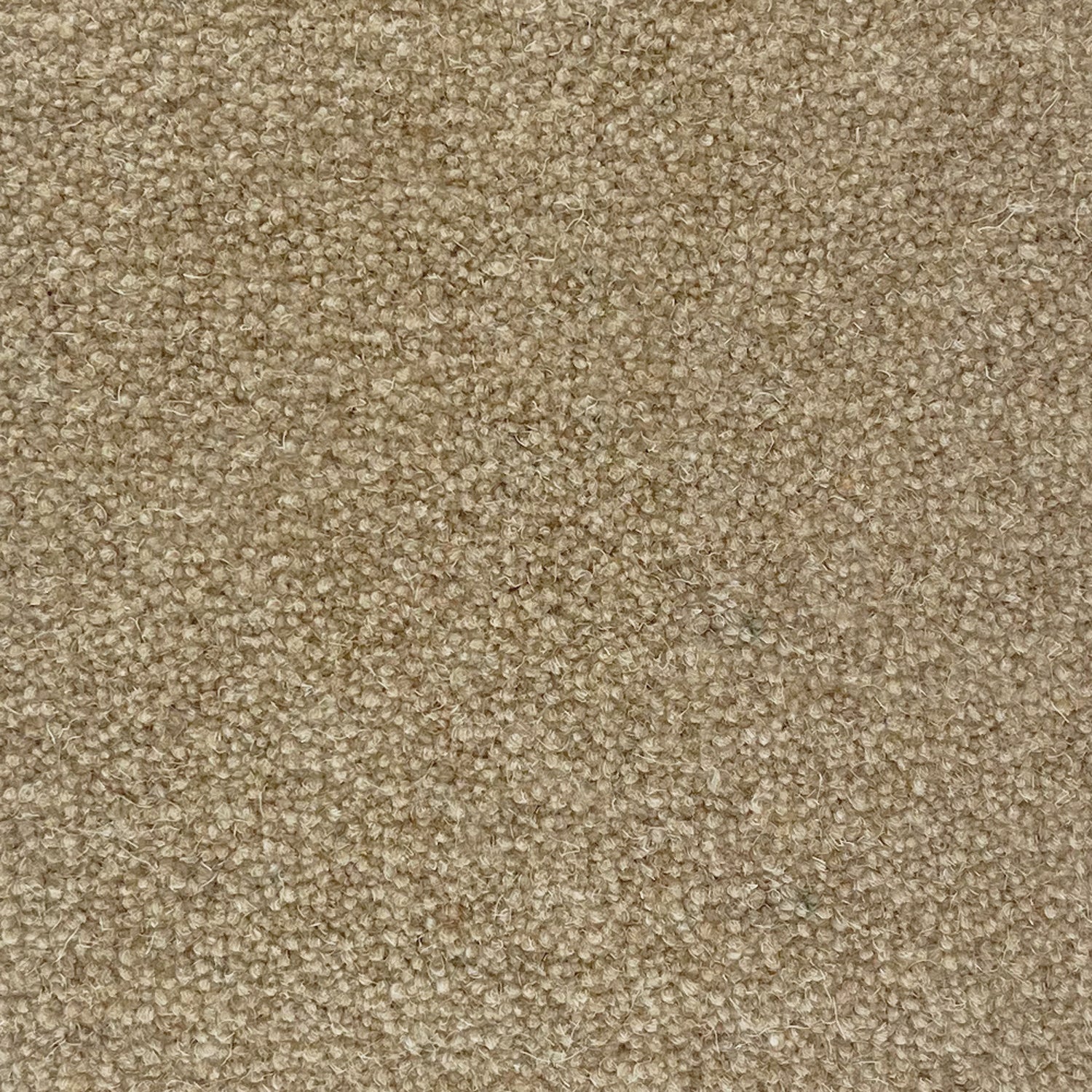 Penthouse Carpets 50oz Cumbrian 80% Wool Blend Twist Pile Carpet