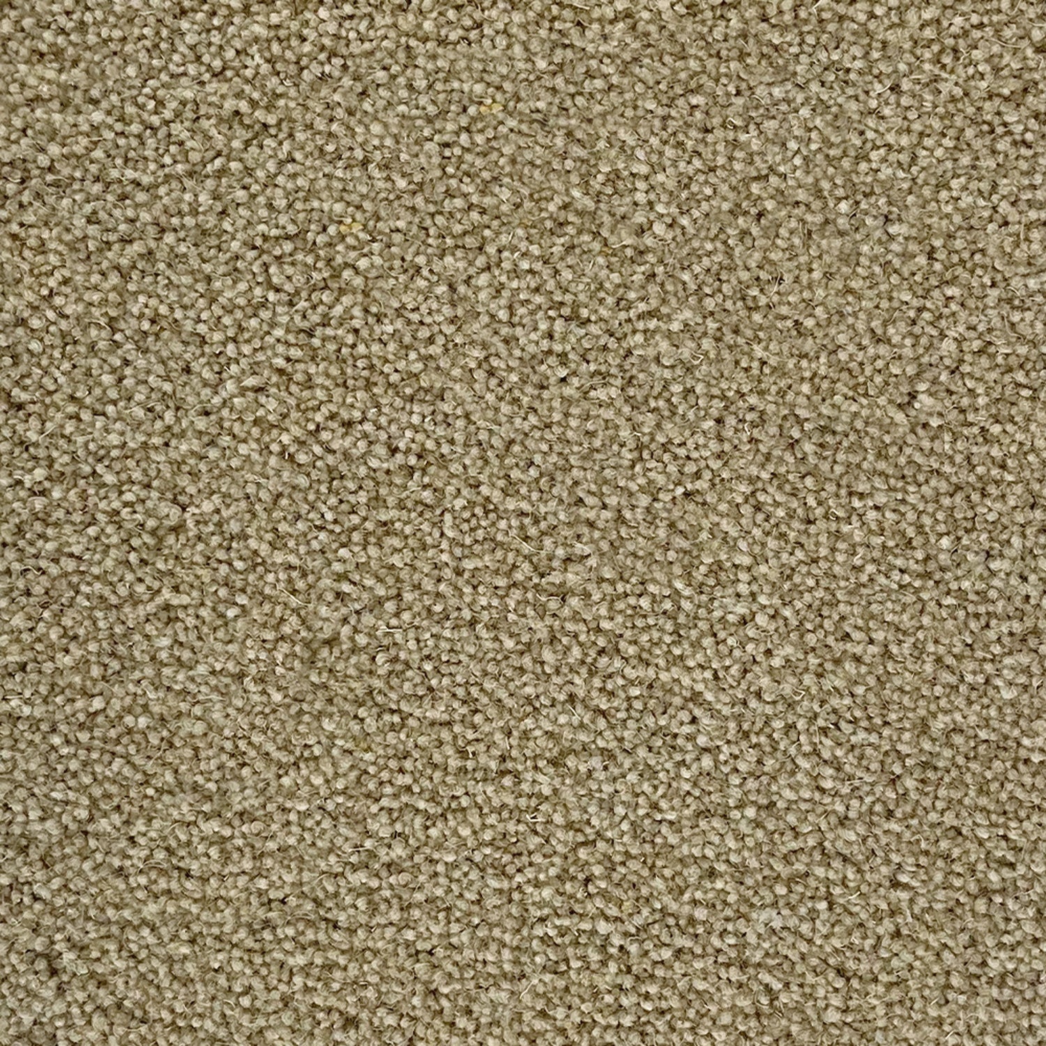 Penthouse Carpets 60oz Esprit Nouveau 80% Wool Blend Twist Pile Carpet