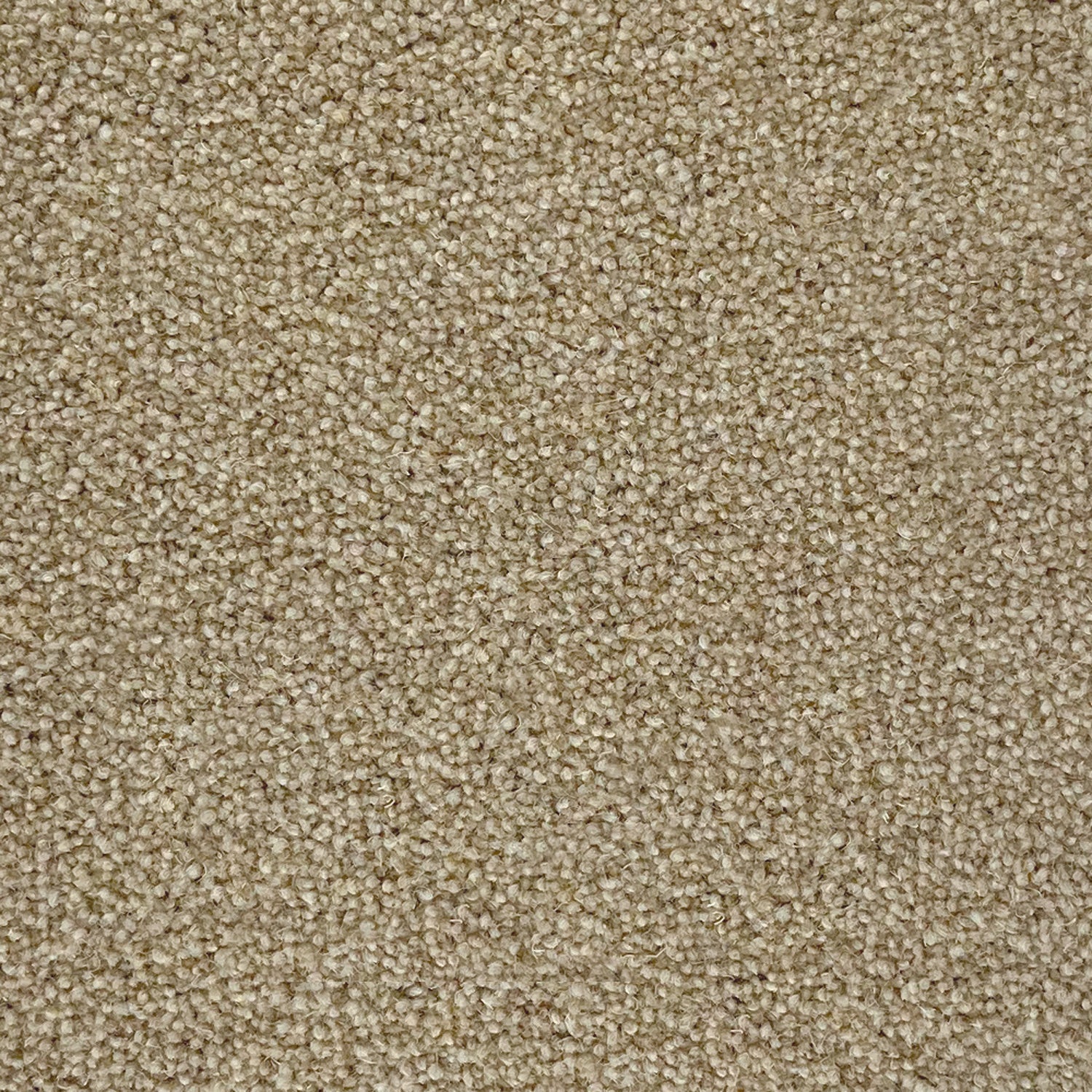 Penthouse Carpets 60oz Esprit Nouveau 80% Wool Blend Twist Pile Carpet