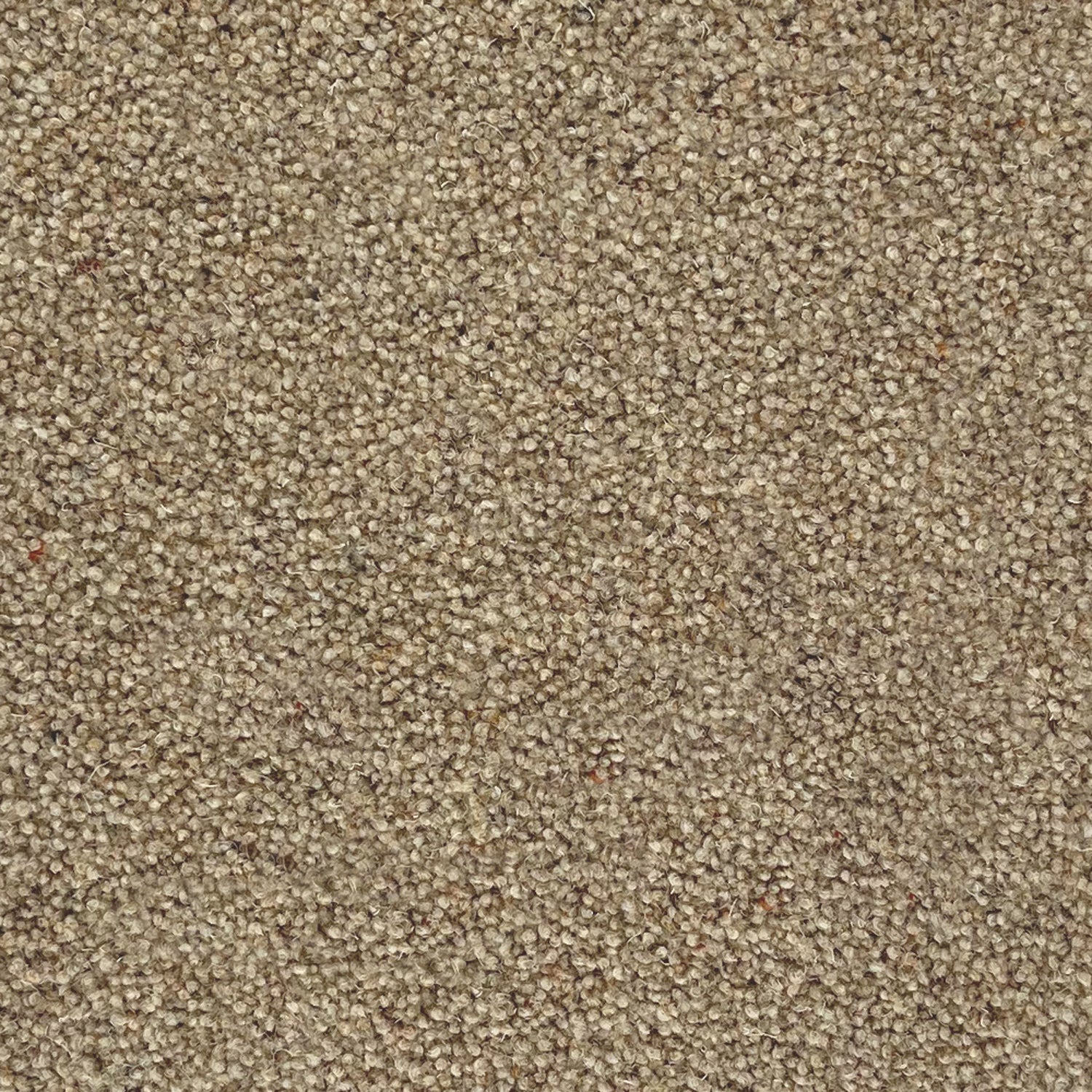 Penthouse Carpets 60oz Esprit Nouveau 80% Wool Blend Twist Pile Carpet