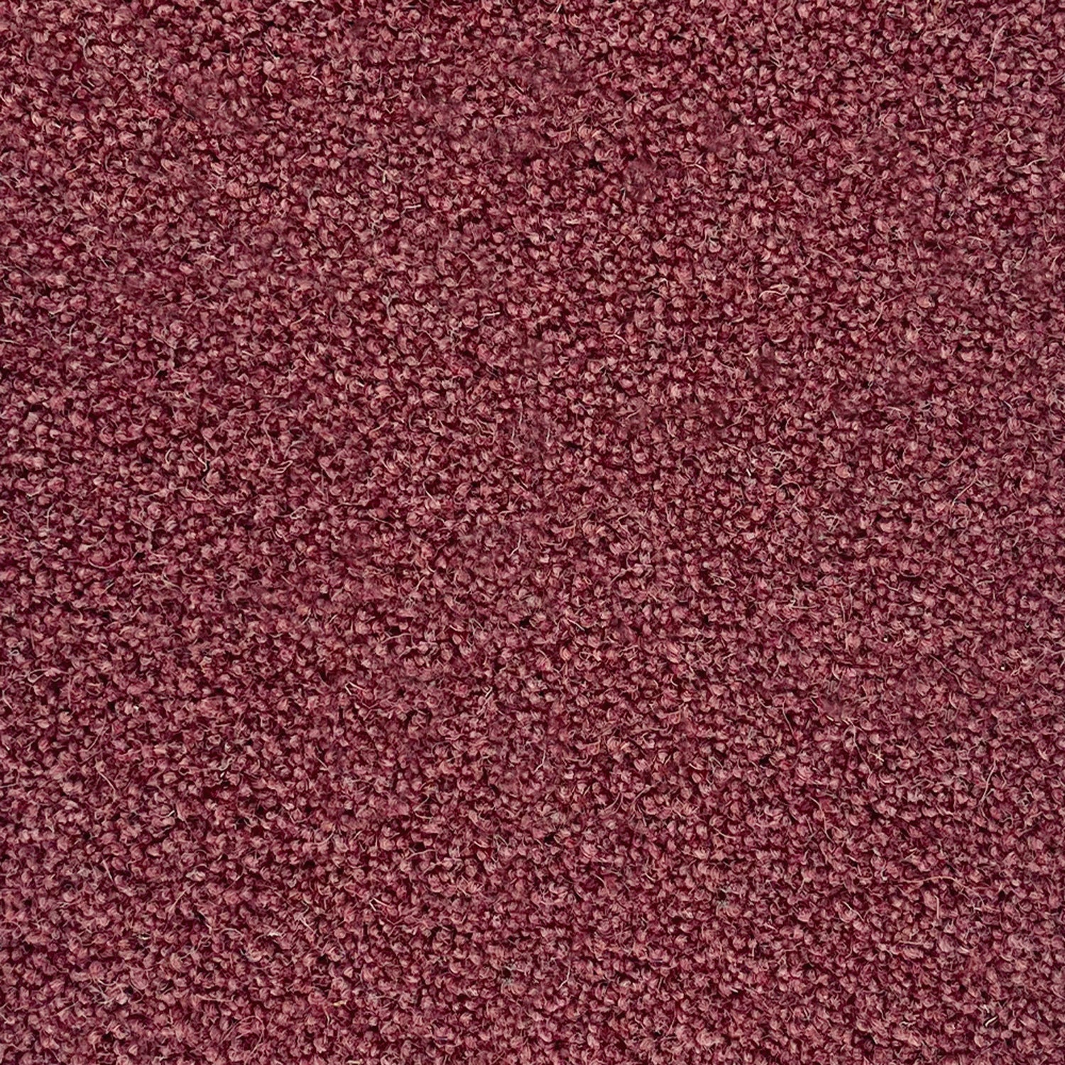 Penthouse Carpets 60oz Esprit Nouveau 80% Wool Blend Twist Pile Carpet
