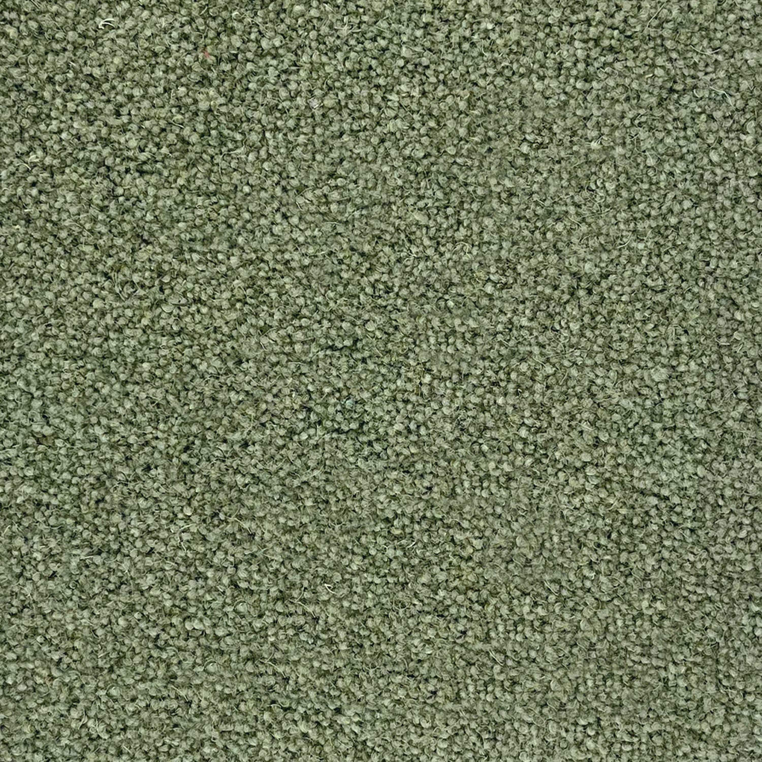 Penthouse Carpets 60oz Esprit Nouveau 80% Wool Blend Twist Pile Carpet