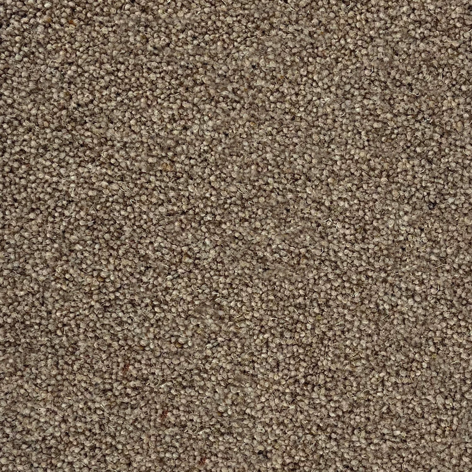 Penthouse Carpets 50oz Esprit Nouveau 80% Wool Blend Twist Pile Carpet