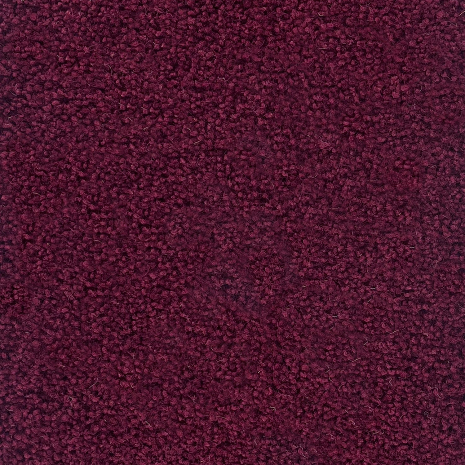 Penthouse Carpets 50oz Pentwist Colours 80% Wool Blend Twist Pile Carpet