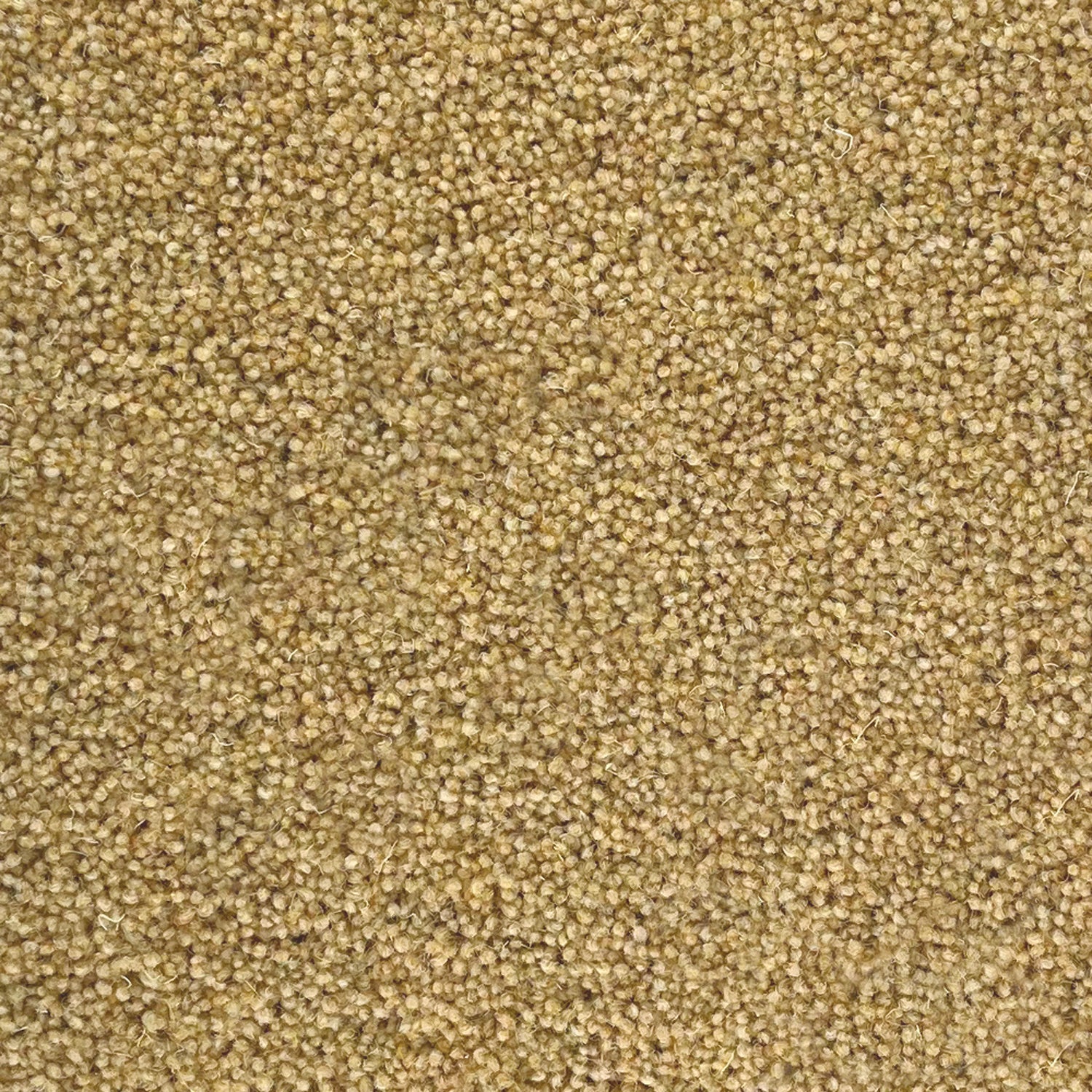 Penthouse Carpets 50oz Pentwist Colours 80% Wool Blend Twist Pile Carpet