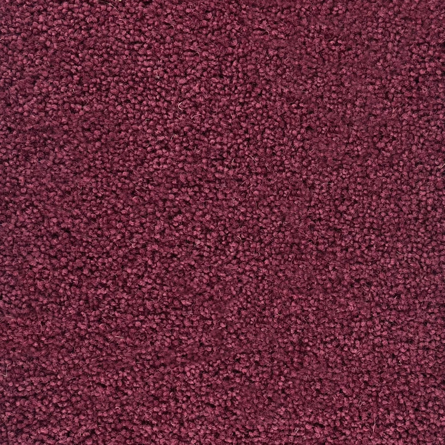Penthouse Carpets 50oz Pentwist Colours 80% Wool Blend Twist Pile Carpet