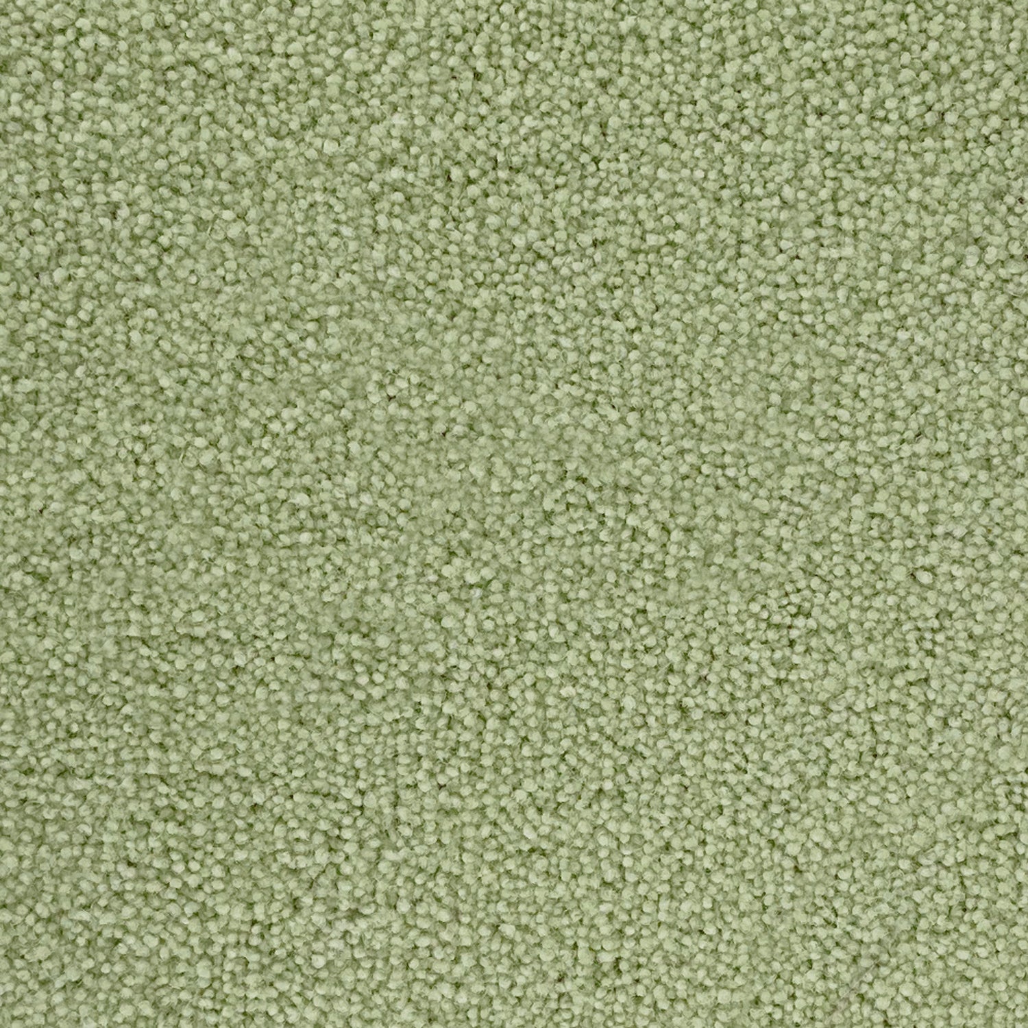 Penthouse Carpets 50oz Pentwist Colours 80% Wool Blend Twist Pile Carpet