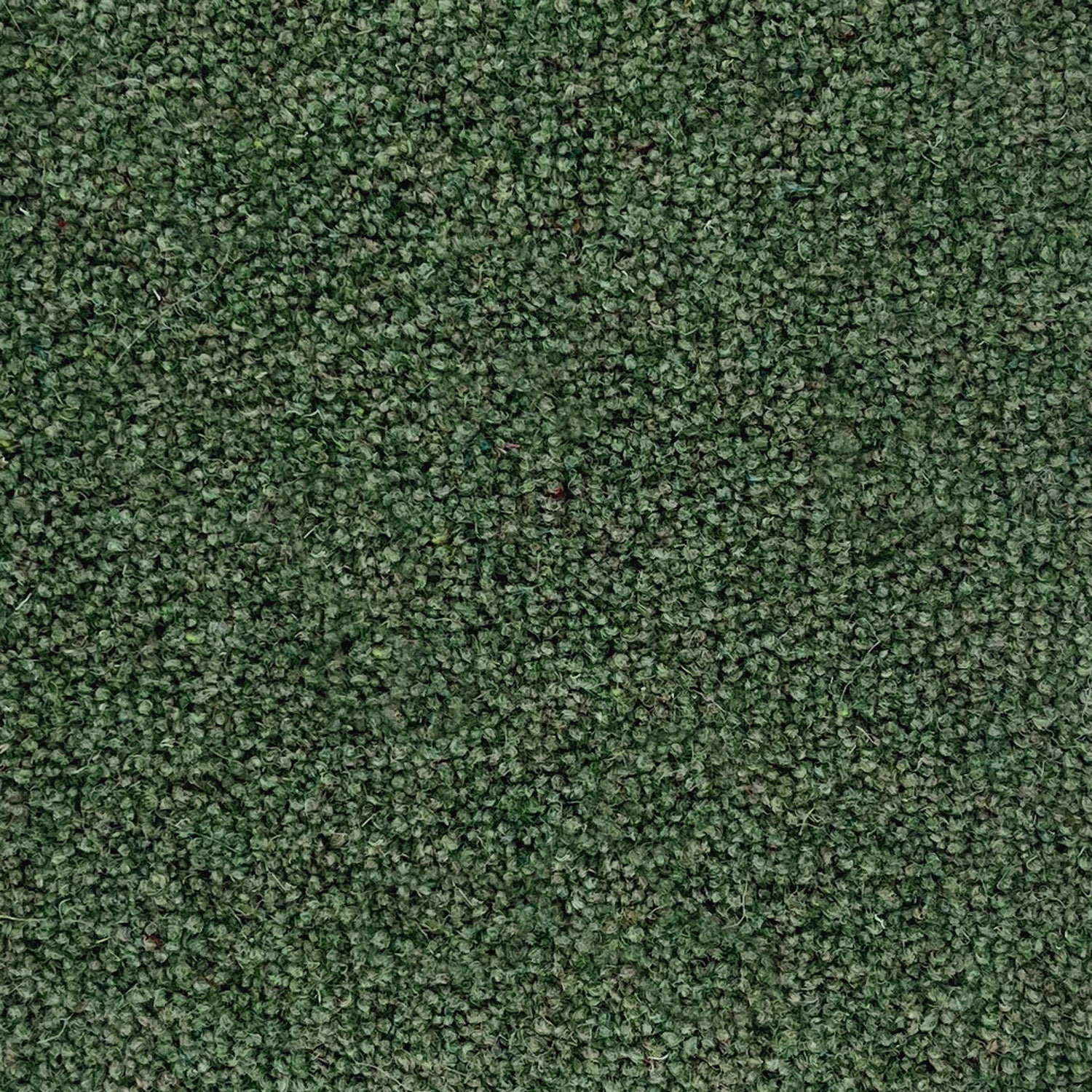 Penthouse Carpets 50oz Pentwist Colours 80% Wool Blend Twist Pile Carpet