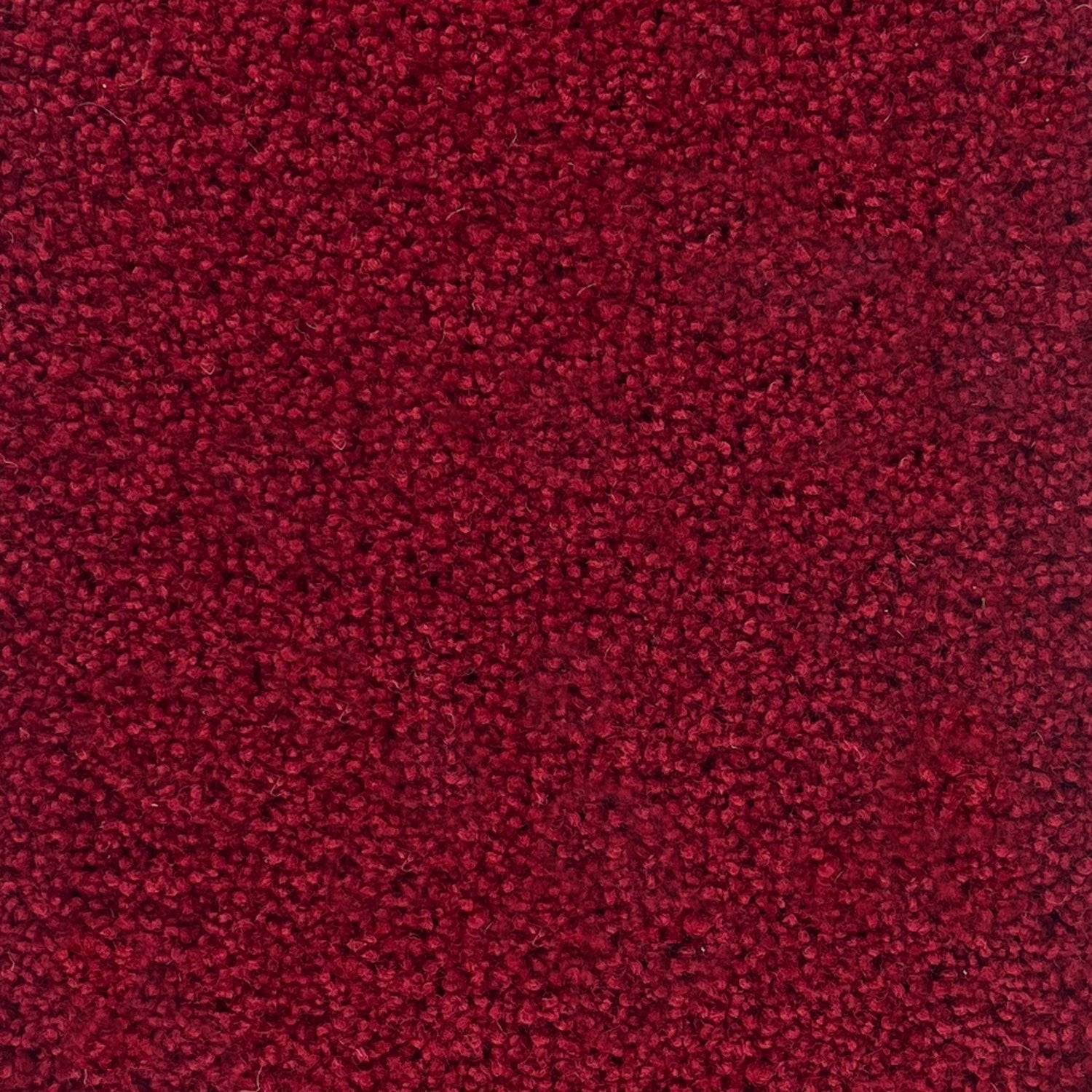 Penthouse Carpets 50oz Pentwist Colours 80% Wool Blend Twist Pile Carpet
