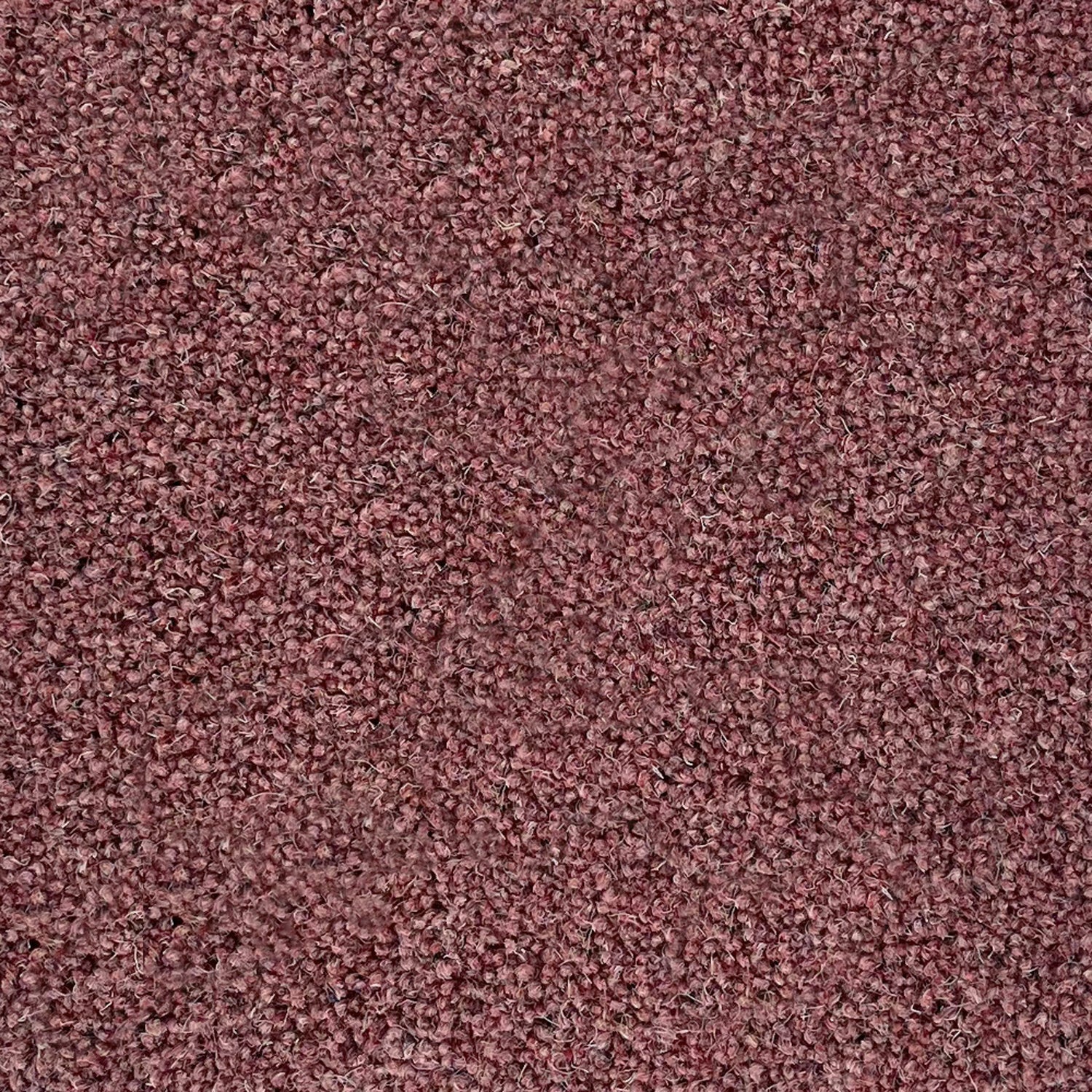 Penthouse Carpets 50oz Pentwist Colours 80% Wool Blend Twist Pile Carpet
