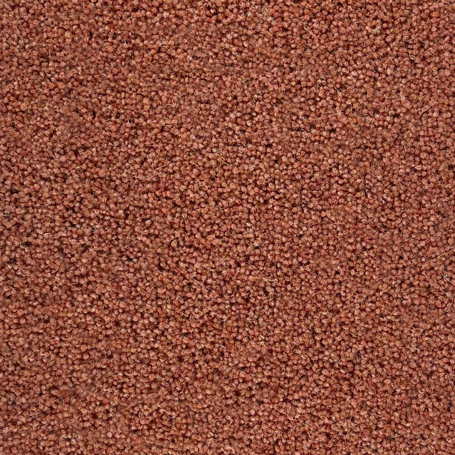 Penthouse Carpets 50oz Pentwist Colours 80% Wool Blend Twist Pile Carpet