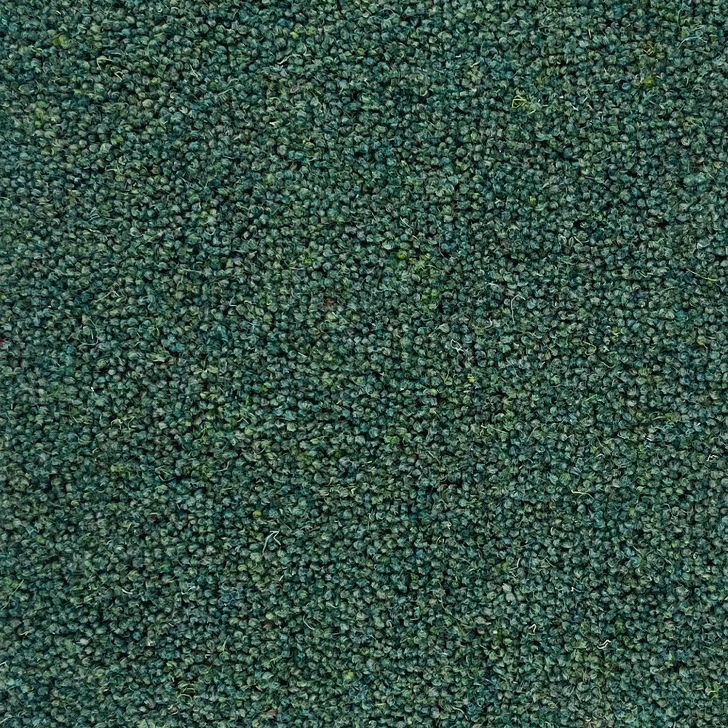 Penthouse Carpets 50oz Pentwist Colours 80% Wool Blend Twist Pile Carpet