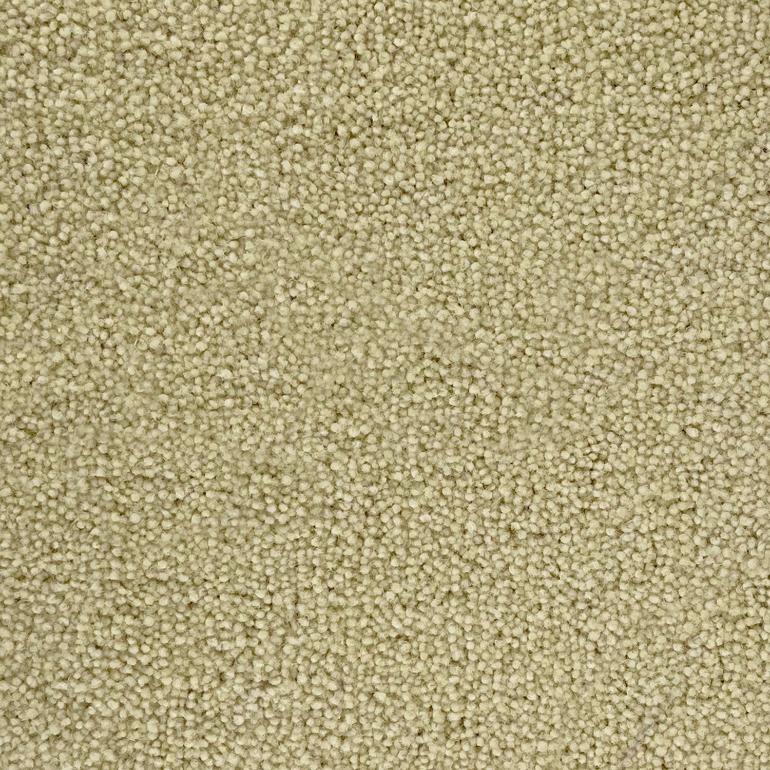 Penthouse Carpets 50oz Pentwist Colours 80% Wool Blend Twist Pile Carpet