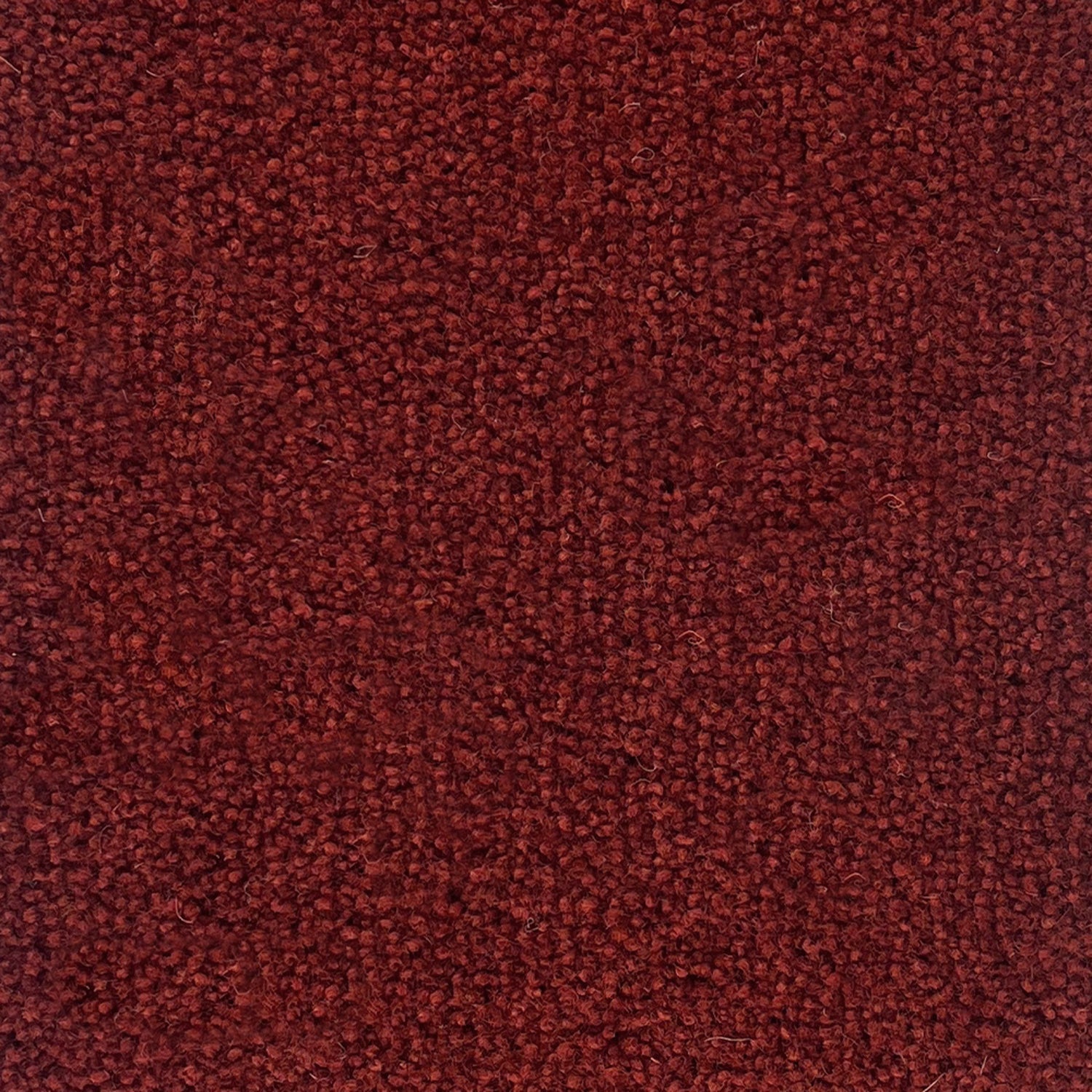 Penthouse Carpets 50oz Pentwist Colours 80% Wool Blend Twist Pile Carpet