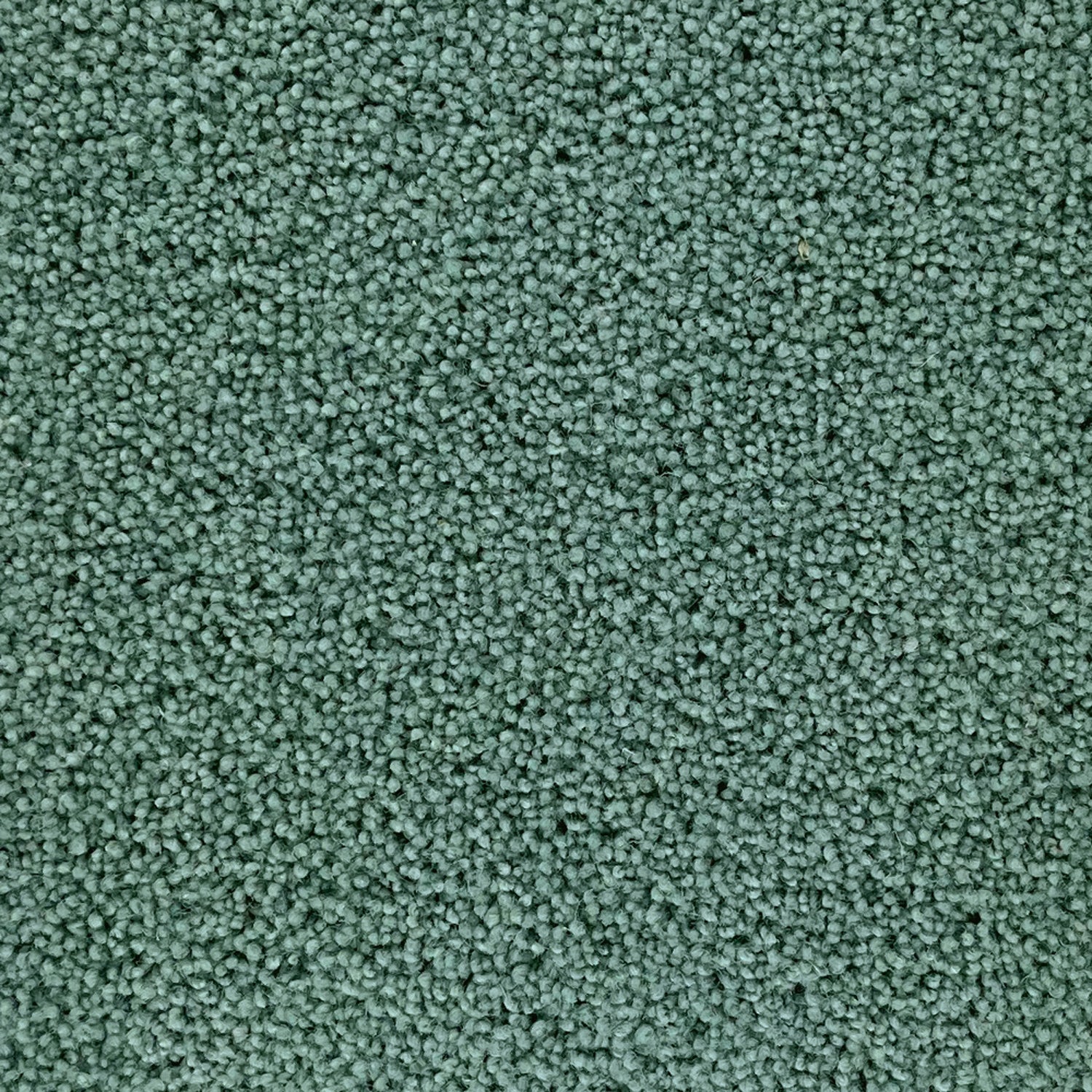 Penthouse Carpets 50oz Pentwist Colours 80% Wool Blend Twist Pile Carpet