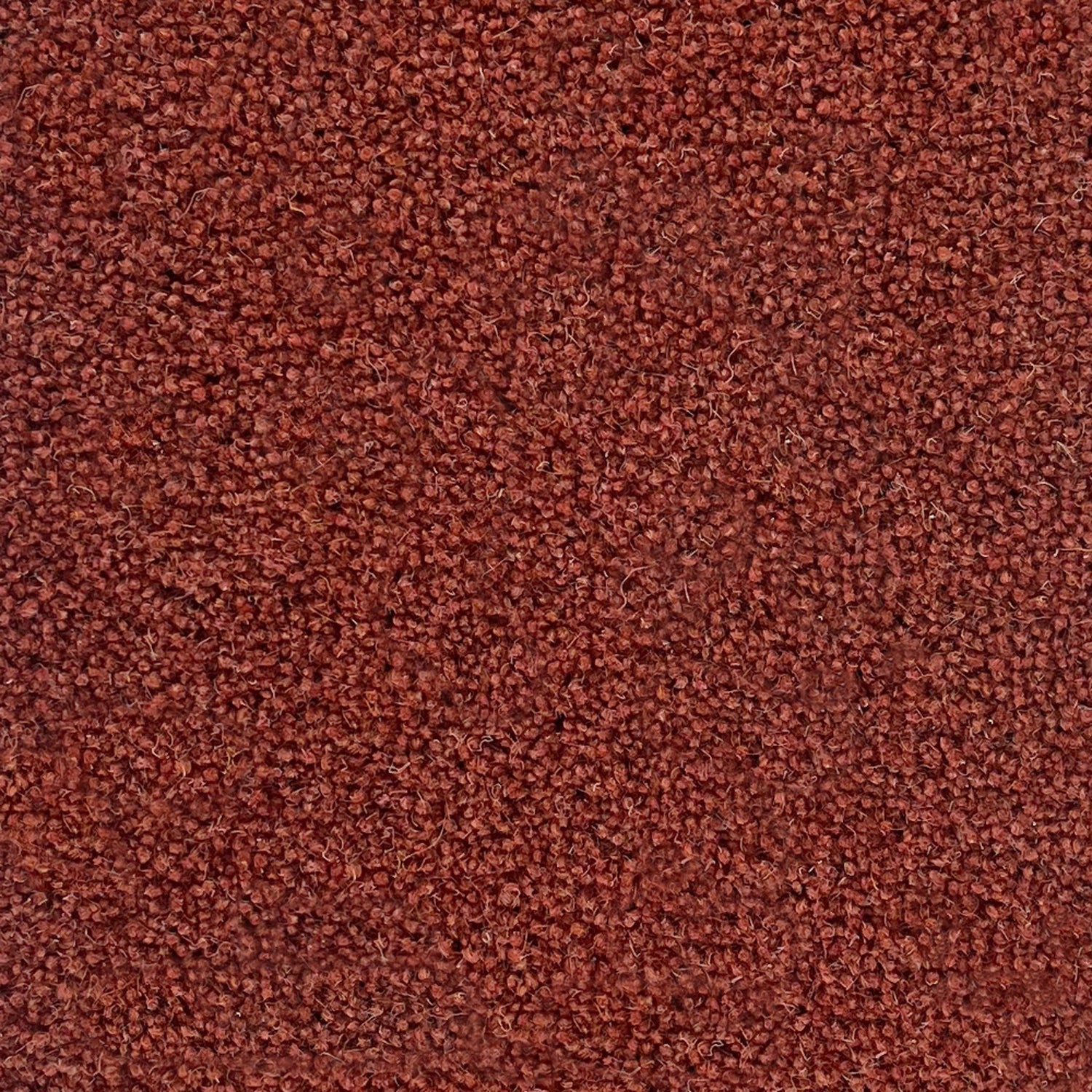 Penthouse Carpets 50oz Pentwist Colours 80% Wool Blend Twist Pile Carpet