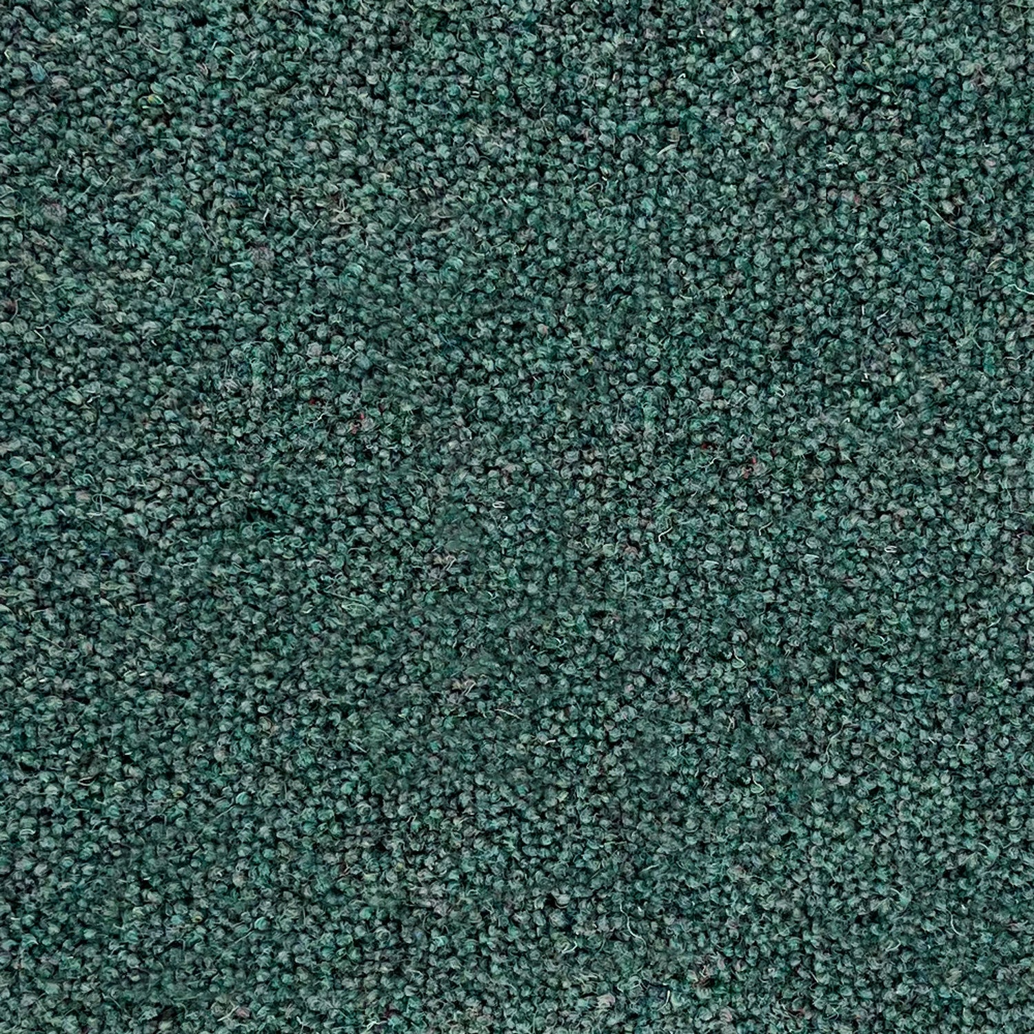 Penthouse Carpets 50oz Pentwist Colours 80% Wool Blend Twist Pile Carpet