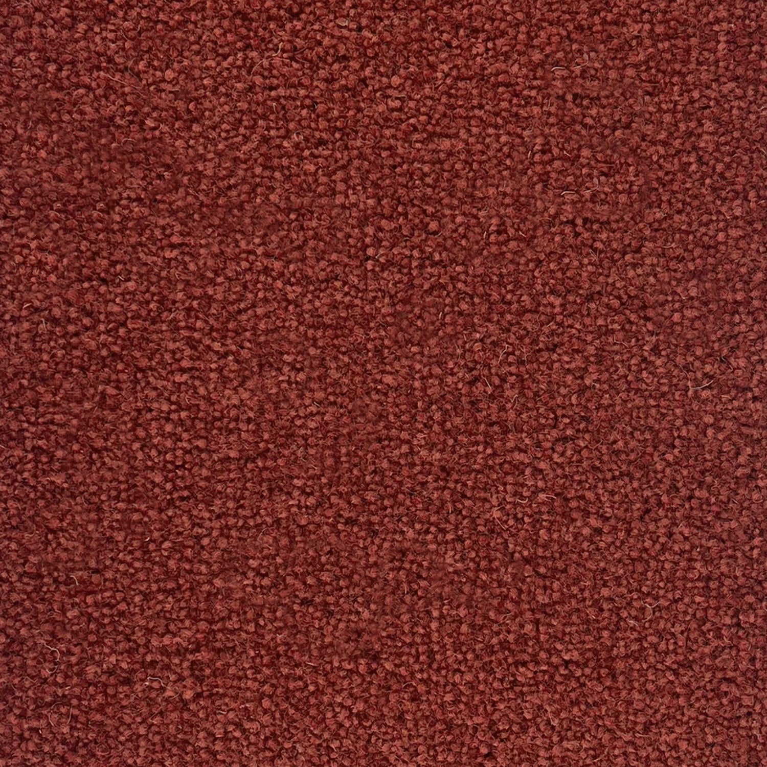 Penthouse Carpets 50oz Pentwist Colours 80% Wool Blend Twist Pile Carpet