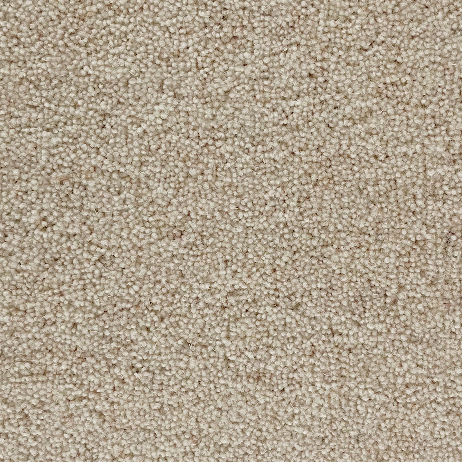 Penthouse Carpets 40oz Pentwist Naturals 80% Wool Blend Twist Pile Carpet