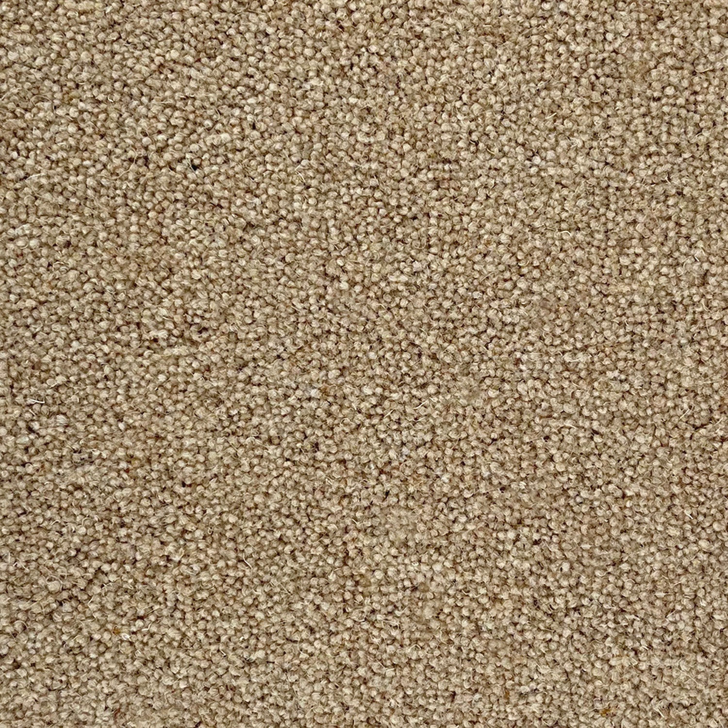 Penthouse Carpets 40oz Pentwist Naturals 80% Wool Blend Twist Pile Carpet