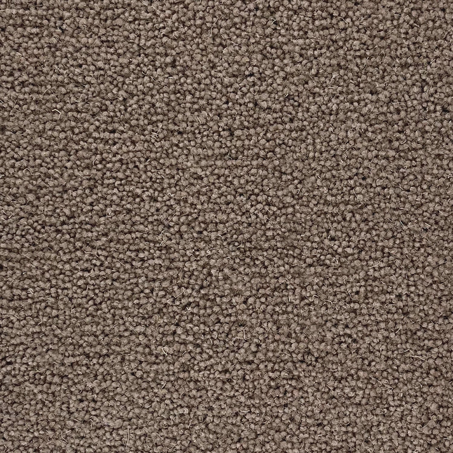Penthouse Carpets 40oz Pentwist Naturals 80% Wool Blend Twist Pile Carpet