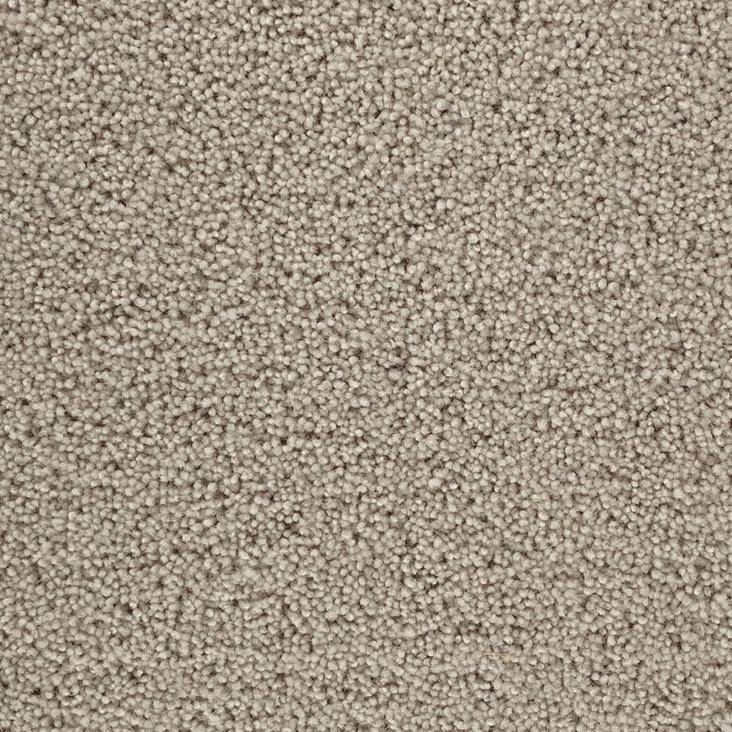 Penthouse Carpets 50oz Pentwist Naturals 80% Wool Blend Twist Pile Carpet