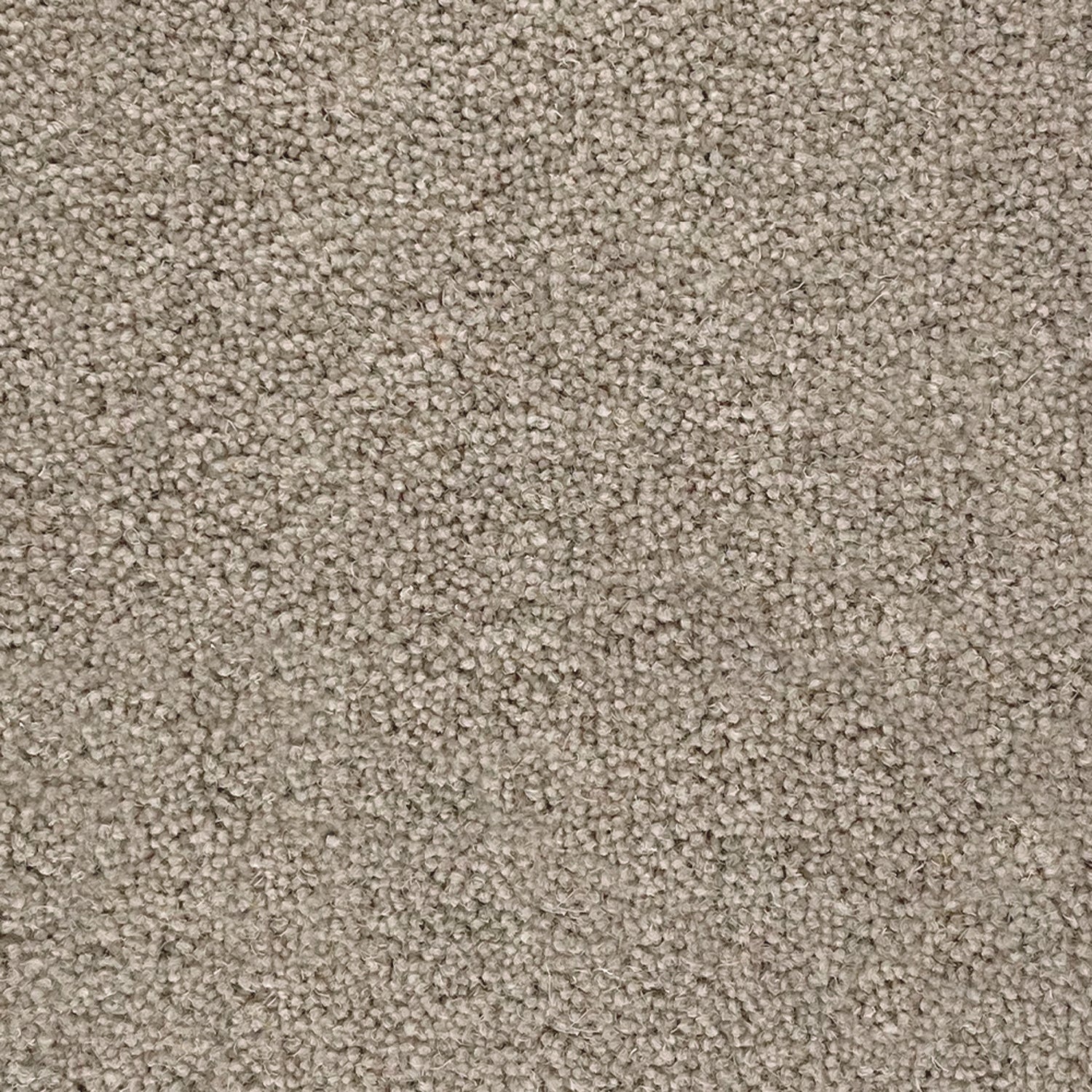 Penthouse Carpets 50oz Pentwist Naturals 80% Wool Blend Twist Pile Carpet