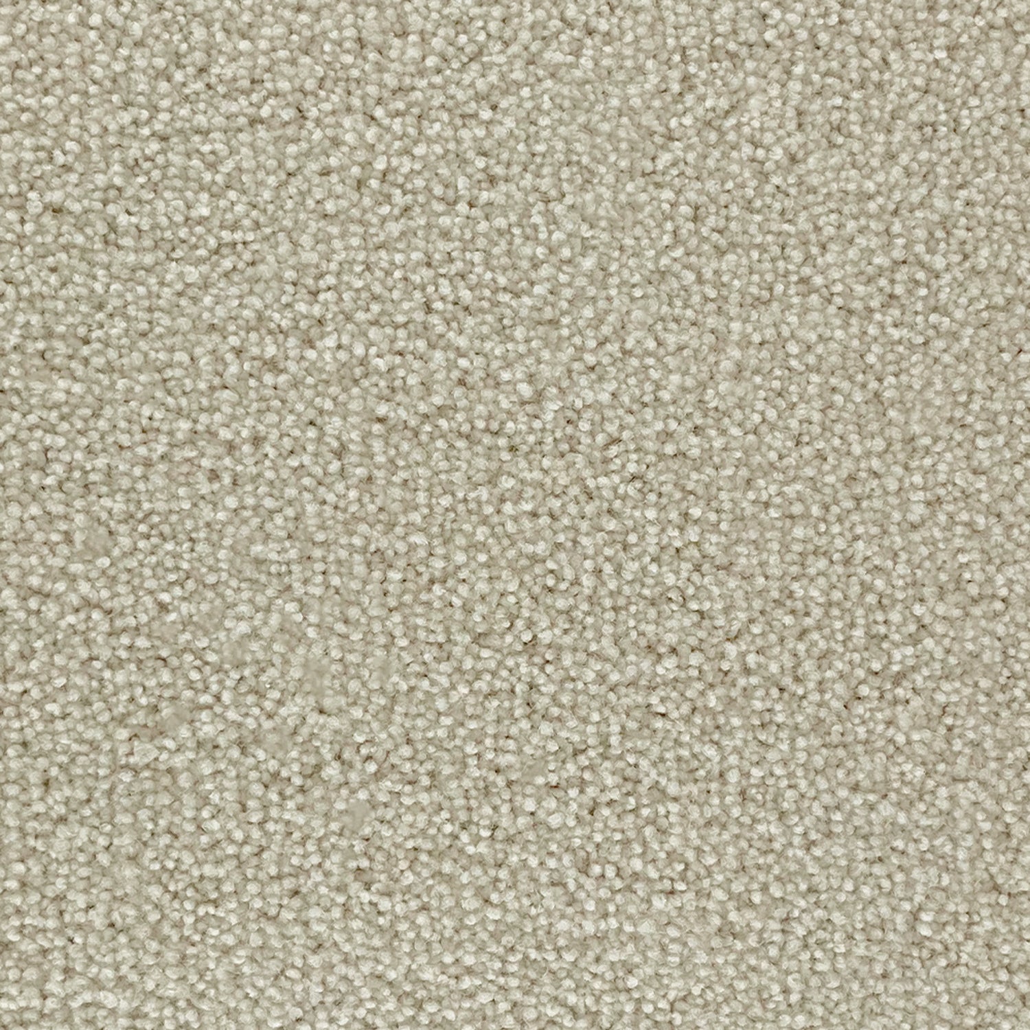 Penthouse Carpets 50oz Pentwist Naturals 80% Wool Blend Twist Pile Carpet