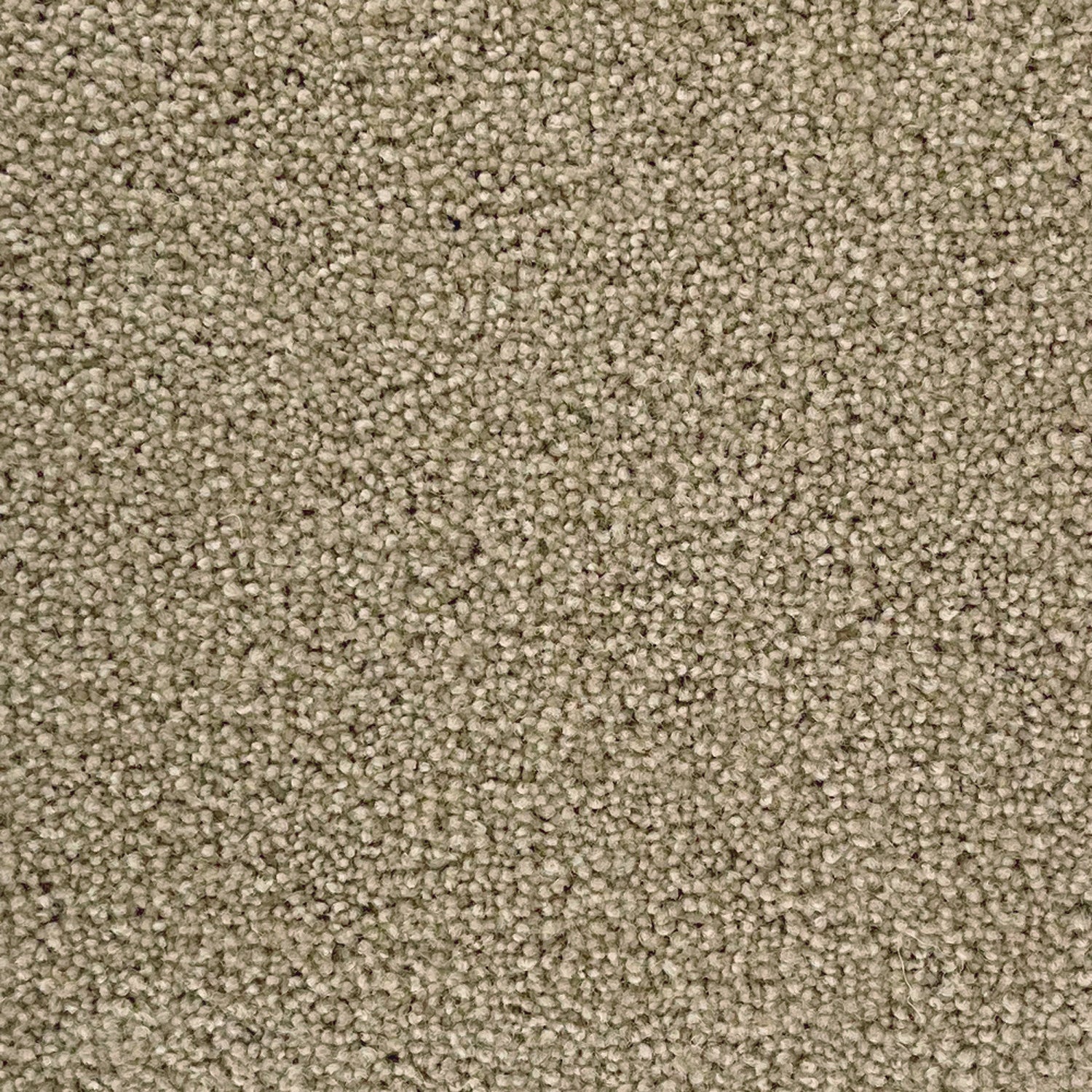 Penthouse Carpets 50oz Pentwist Naturals 80% Wool Blend Twist Pile Carpet