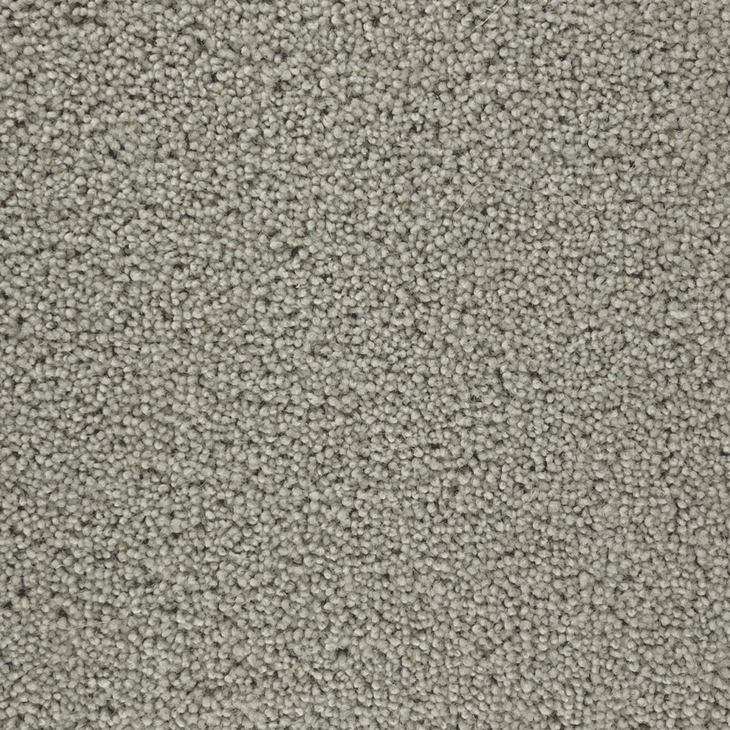 Penthouse Carpets 40oz Pentwist Naturals 80% Wool Blend Twist Pile Carpet