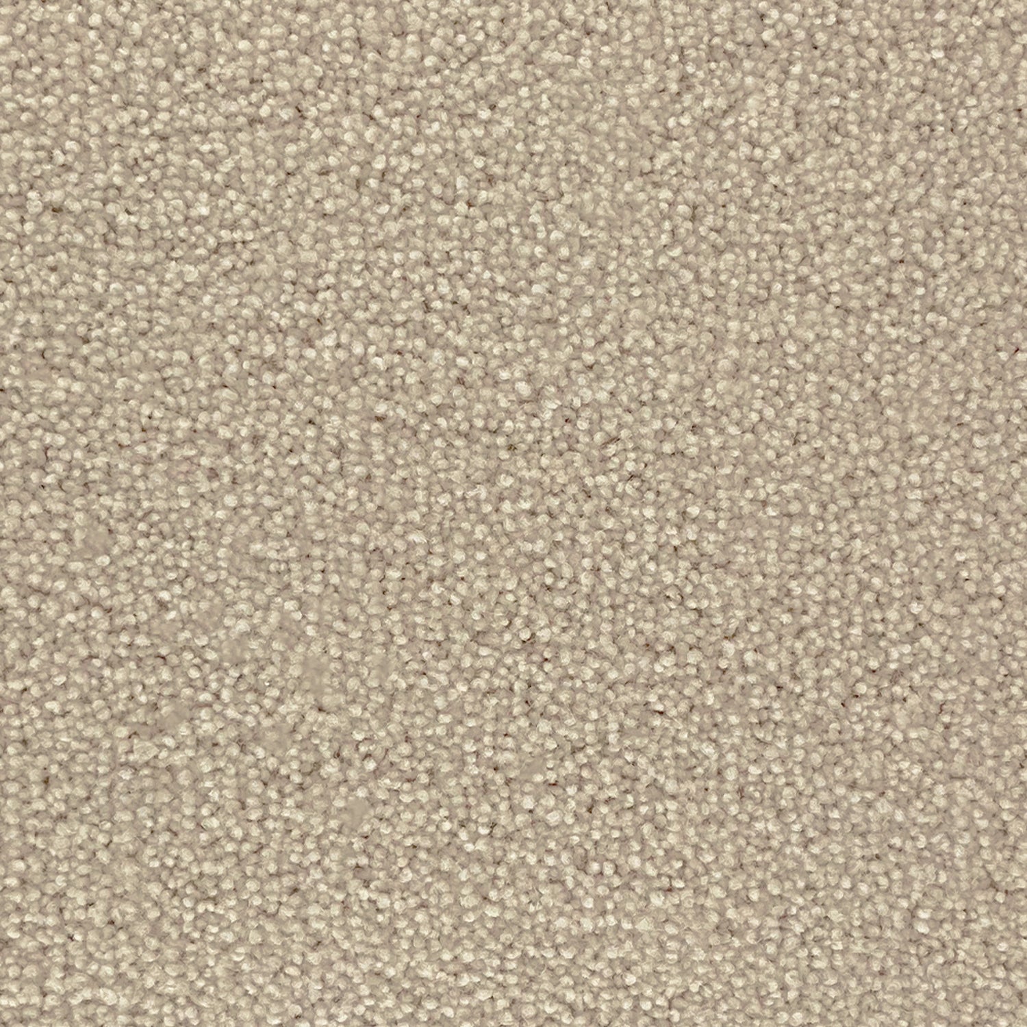 Penthouse Carpets 50oz Pentwist Naturals 80% Wool Blend Twist Pile Carpet