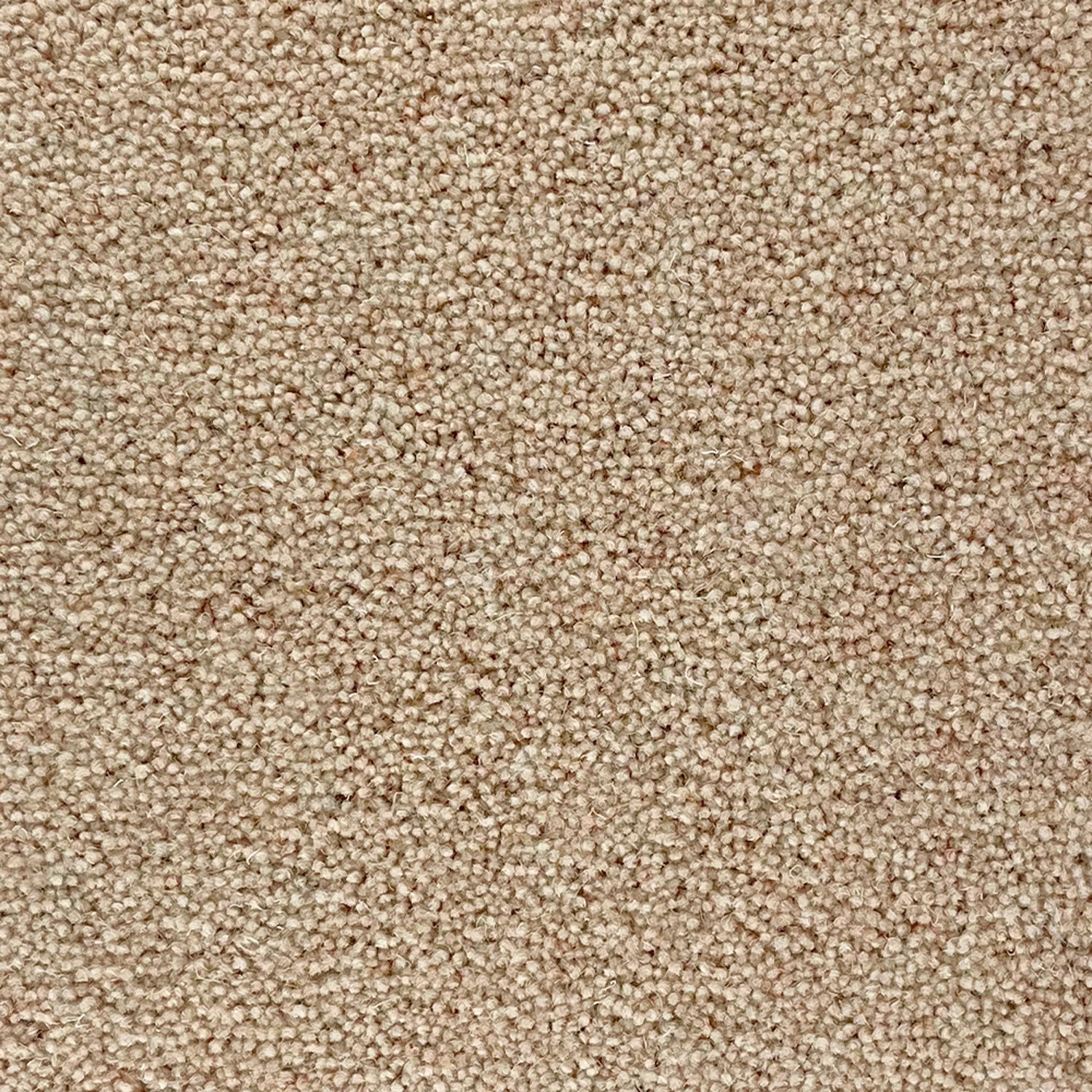 Penthouse Carpets 50oz Pentwist Naturals 80% Wool Blend Twist Pile Carpet