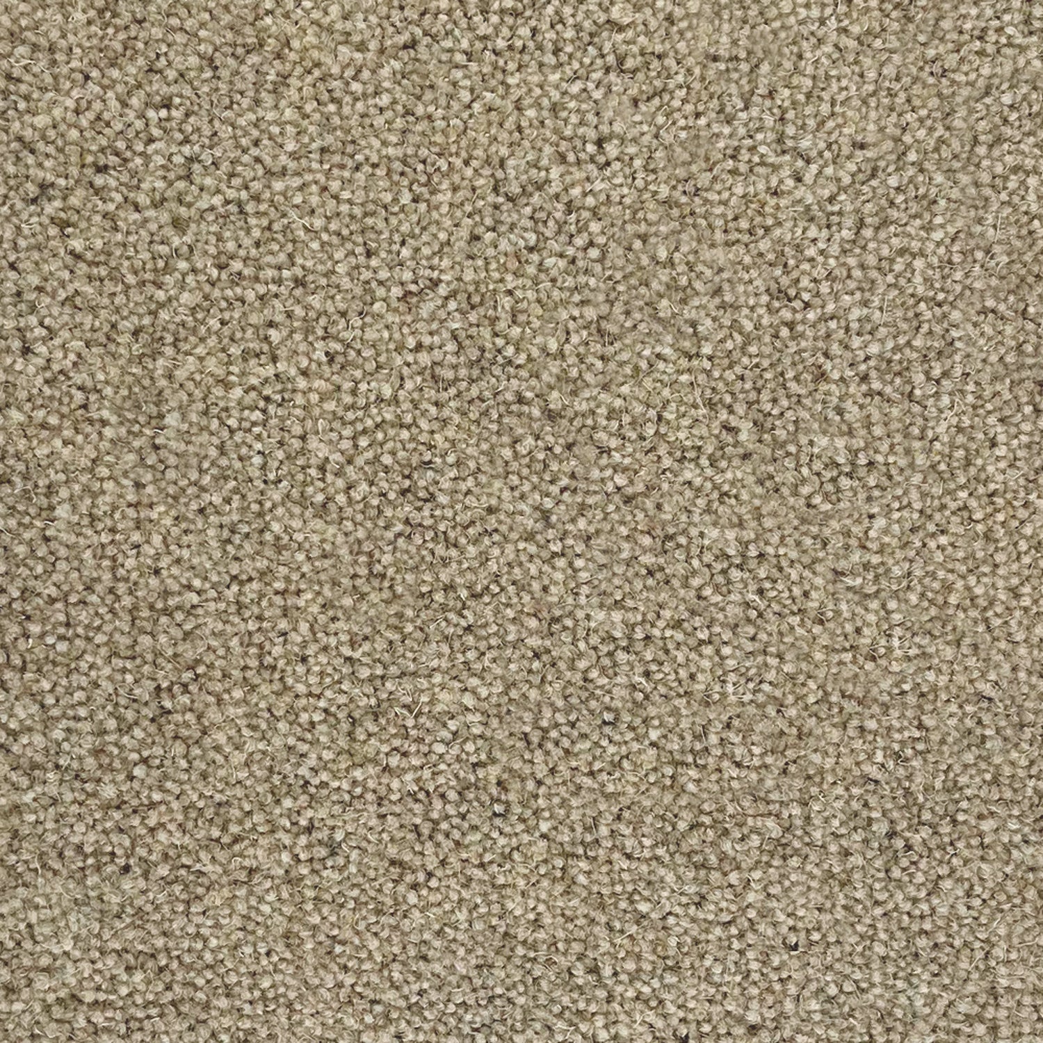 Penthouse Carpets 50oz Pentwist Naturals 80% Wool Blend Twist Pile Carpet