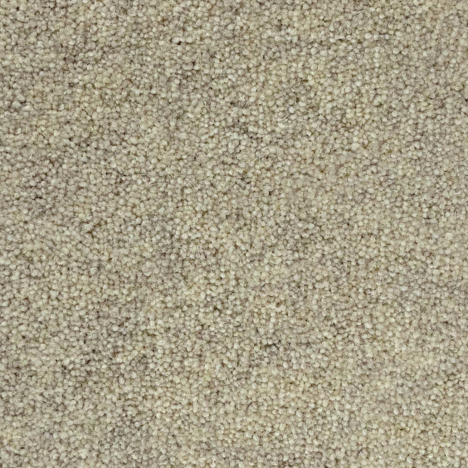 Penthouse Carpets 50oz Springtime 80% Wool Blend Twist Carpet