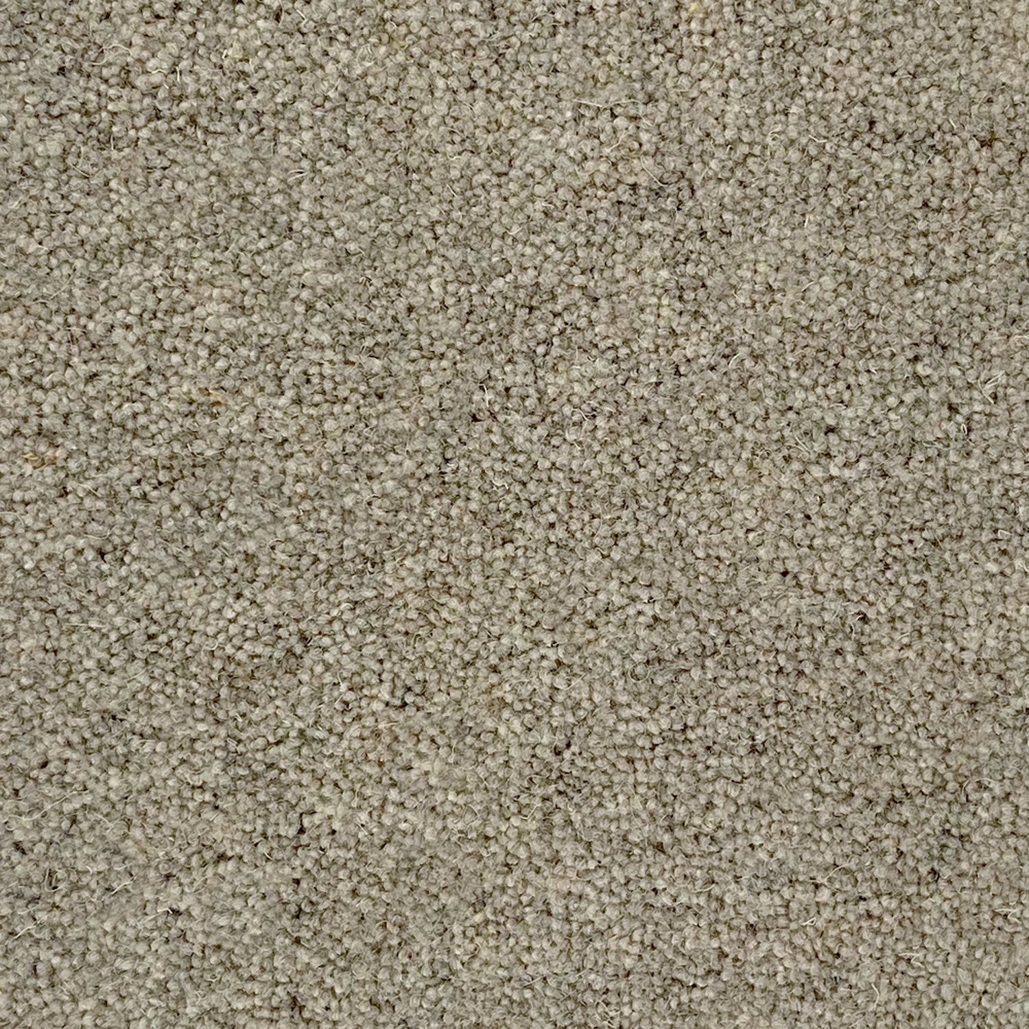 Penthouse Carpets 50oz Springtime 80% Wool Blend Twist Carpet