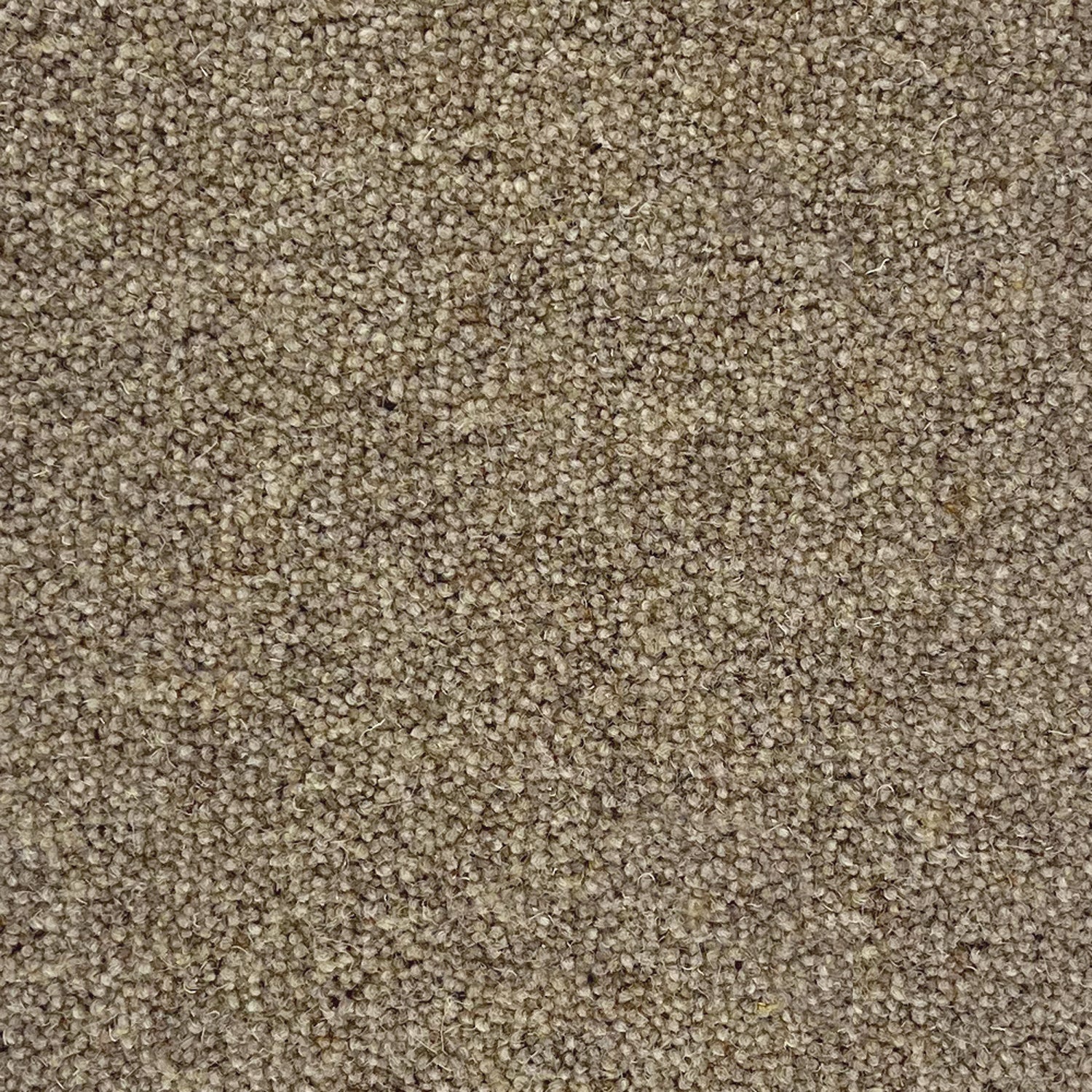 Penthouse Carpets 50oz Springtime 80% Wool Blend Twist Carpet