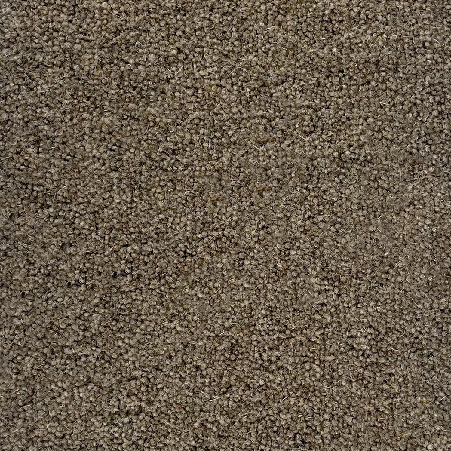Penthouse Carpets 50oz Springtime 80% Wool Blend Twist Carpet