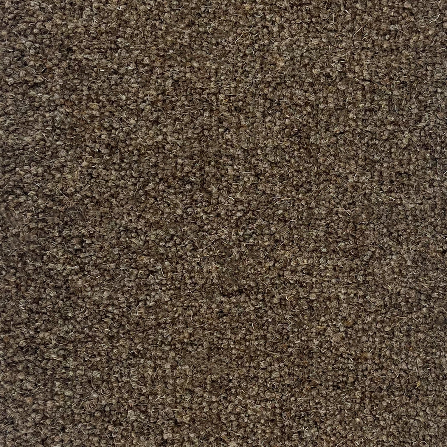 Penthouse Carpets 50oz Springtime 80% Wool Blend Twist Carpet