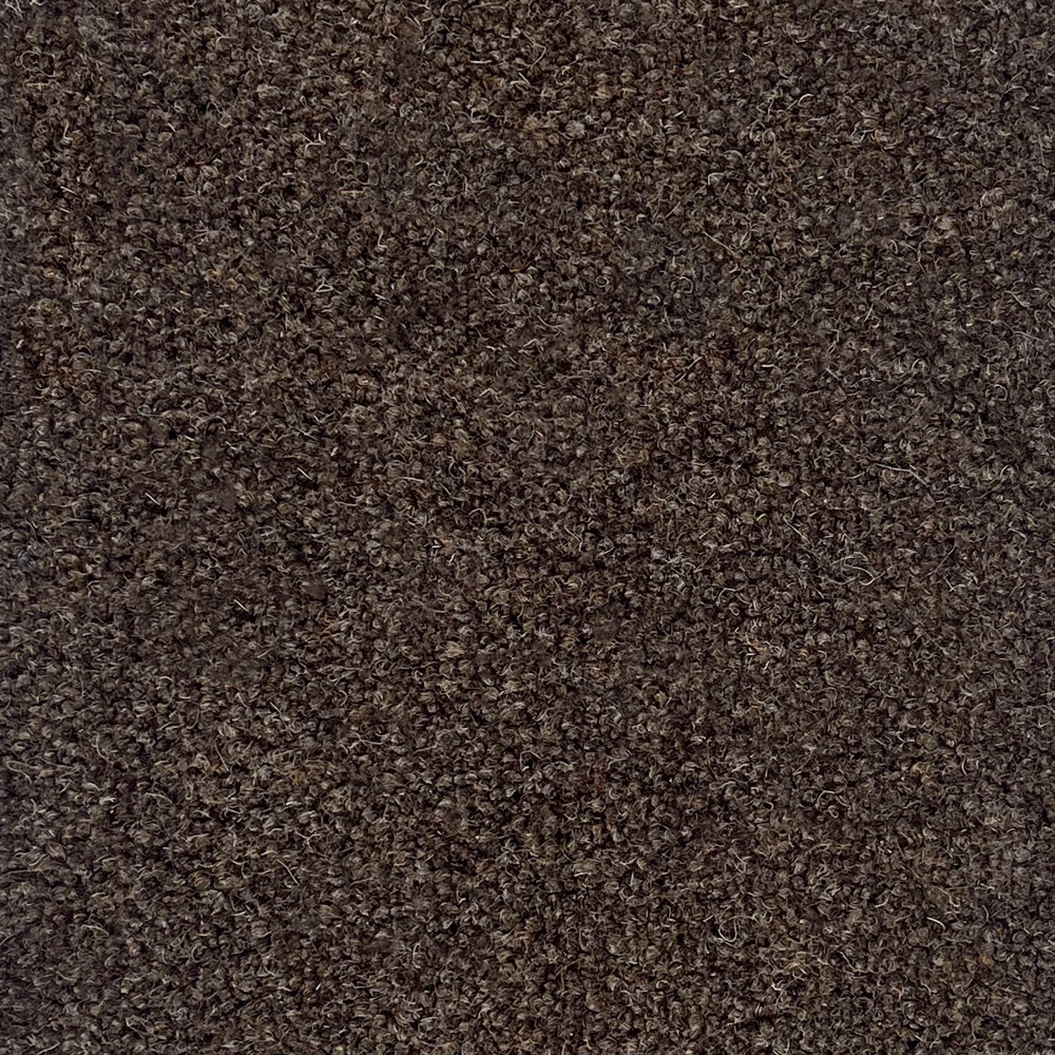 Penthouse Carpets 50oz Springtime 80% Wool Blend Twist Carpet